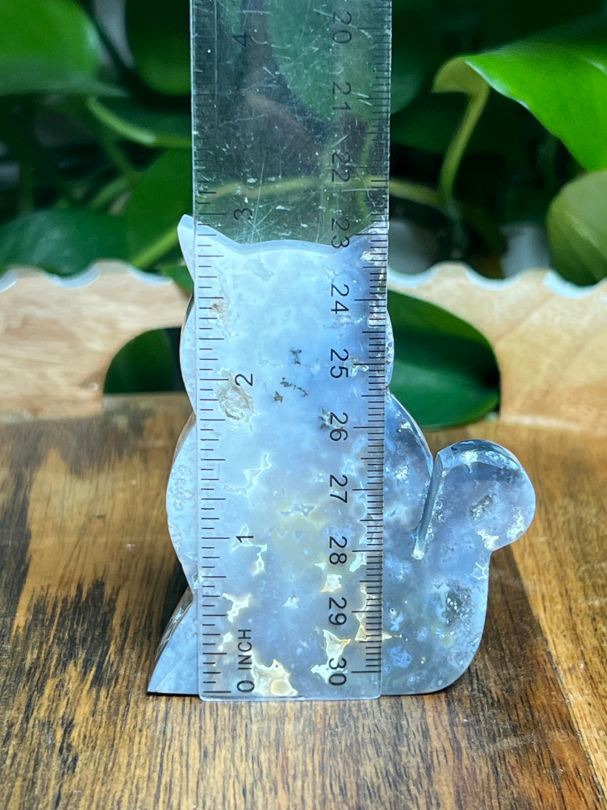 Blue Plume Agate Cat: BD