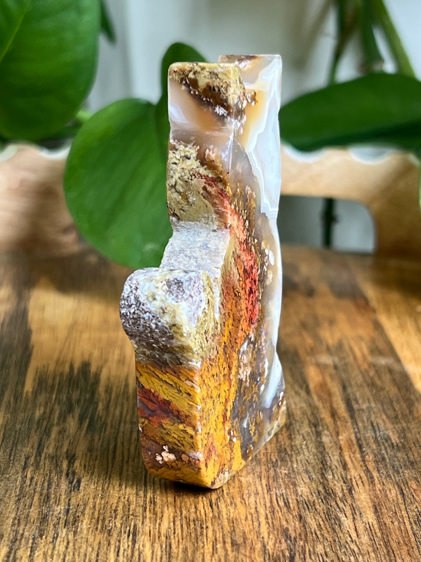 Scenic Moss Agate Cat HF