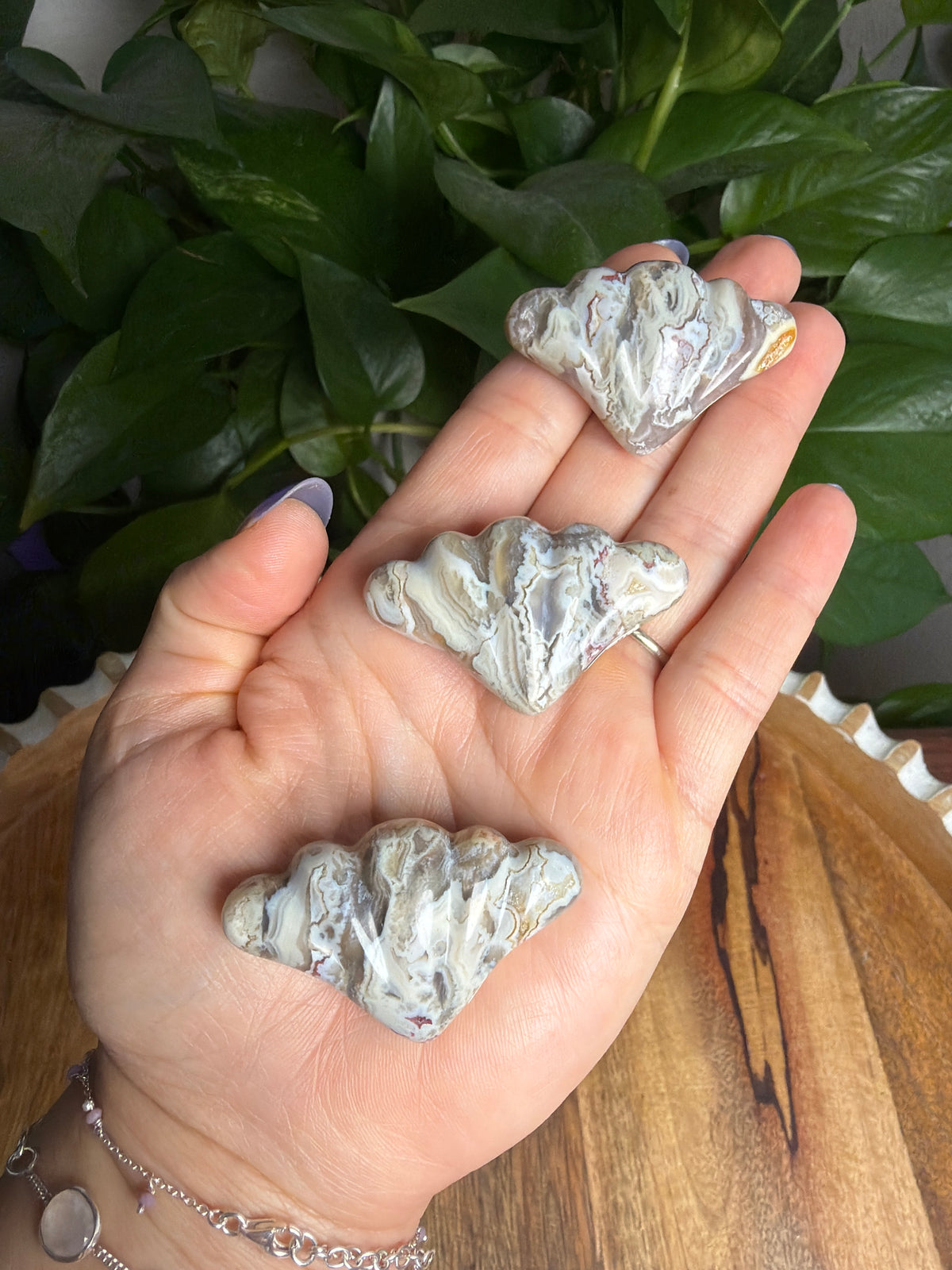 Sumatran Plume Agate Shells