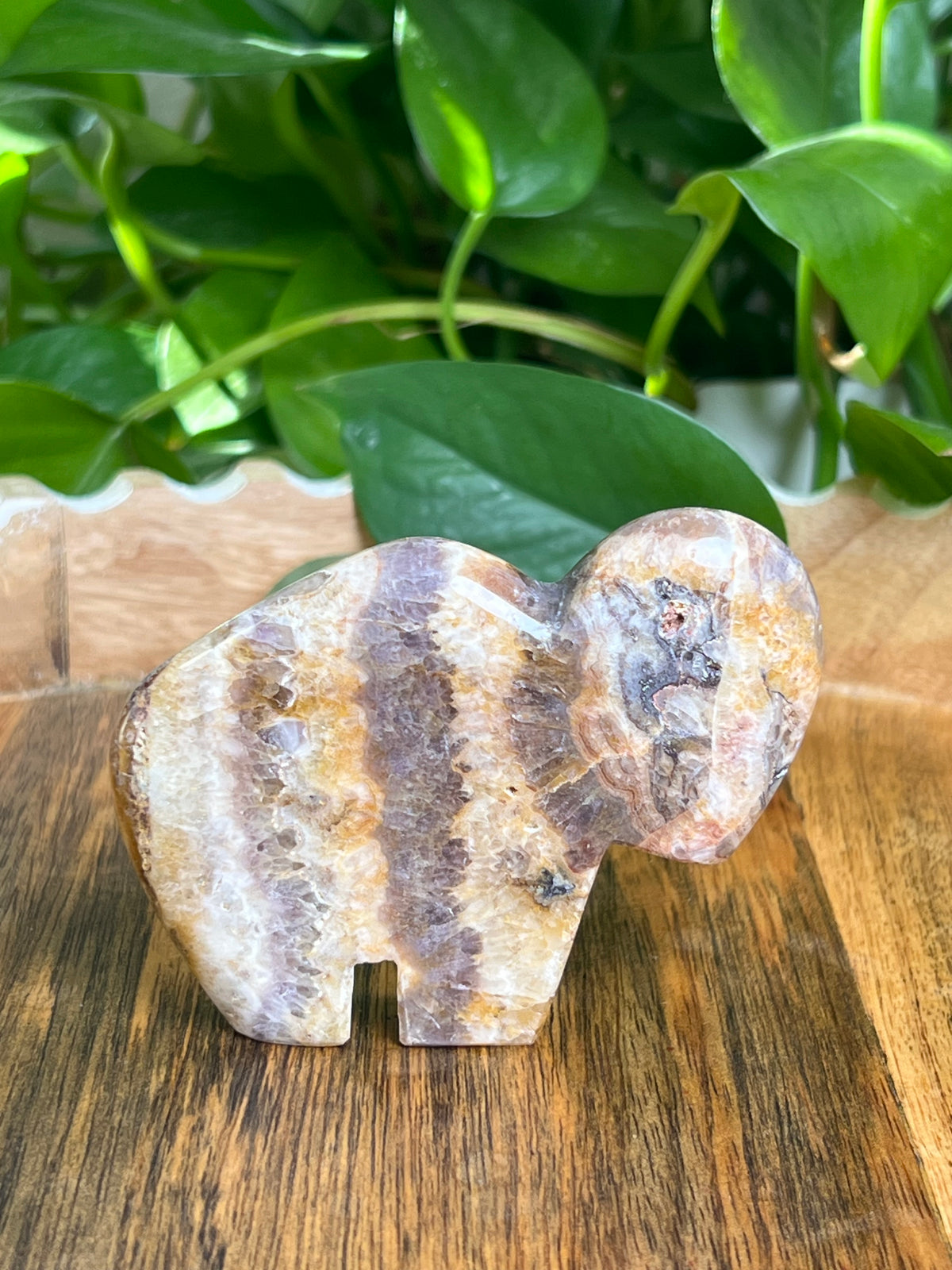 Indonesian Amethyst Buffalo: SA