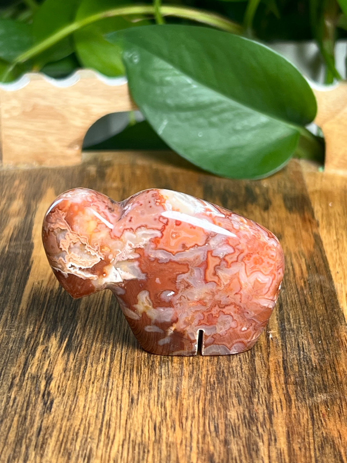 Carnelian Mini Buffalo: BE