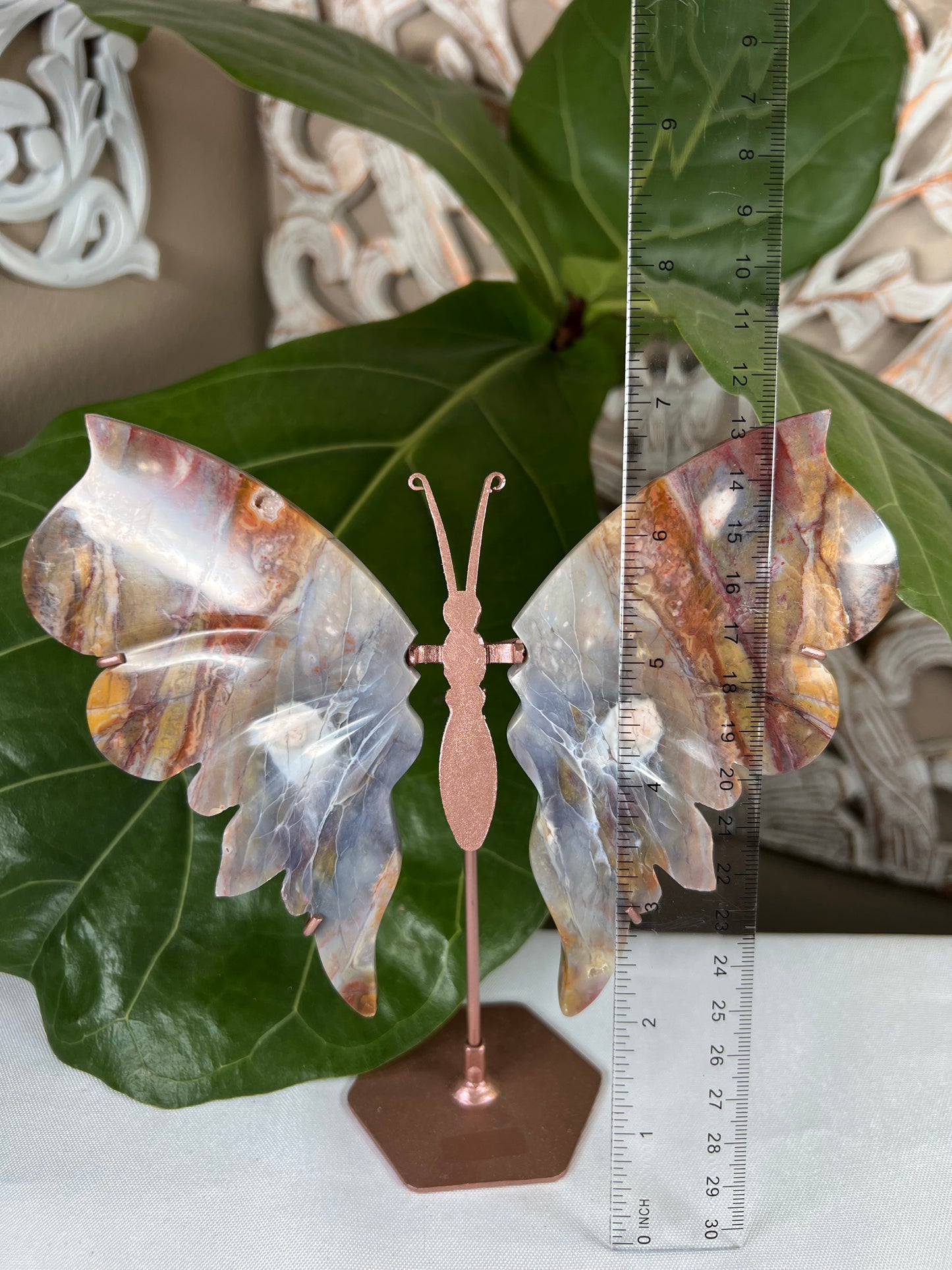 River Jasper Wings