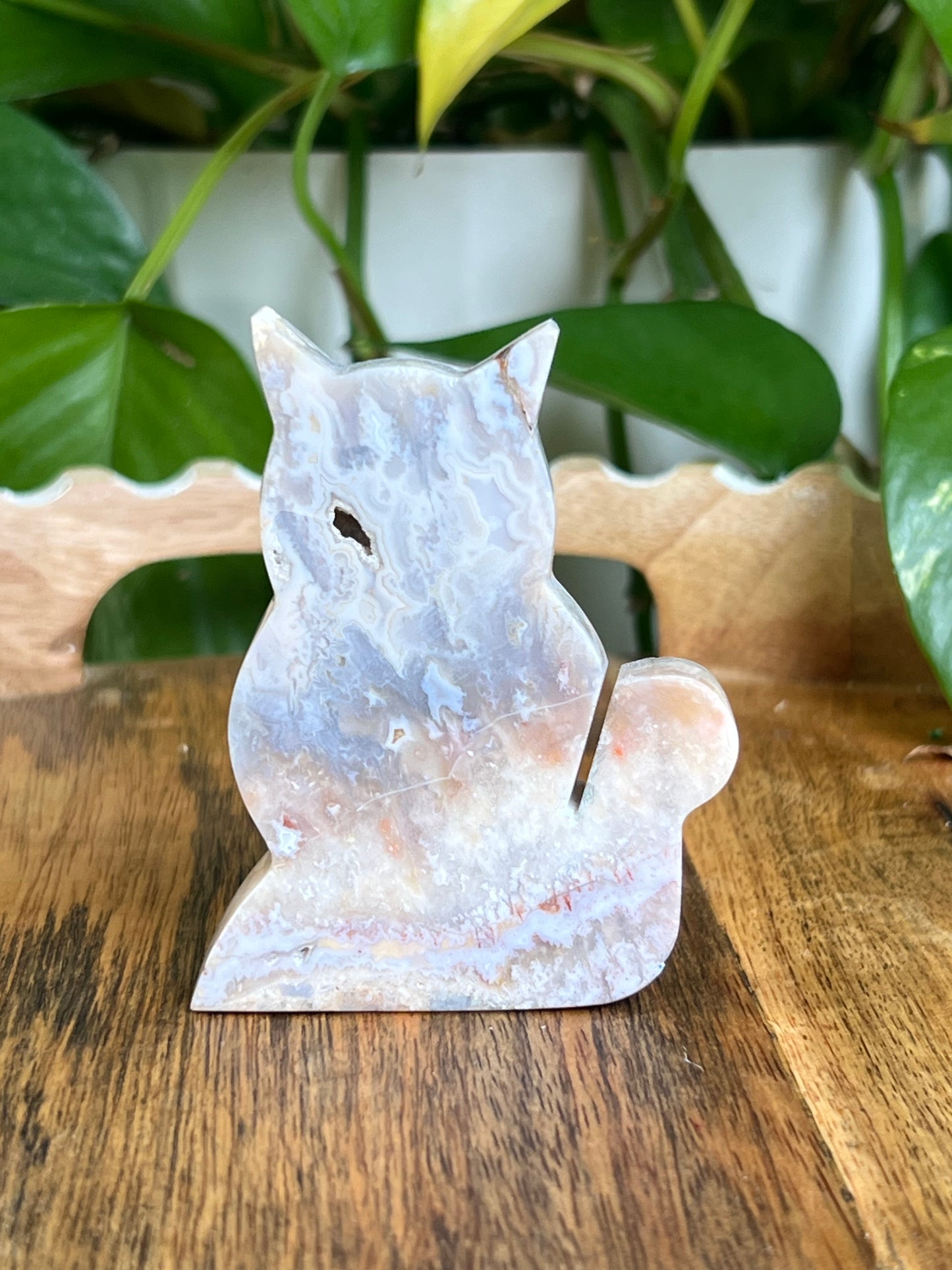 Sumatra Agate Cat EE