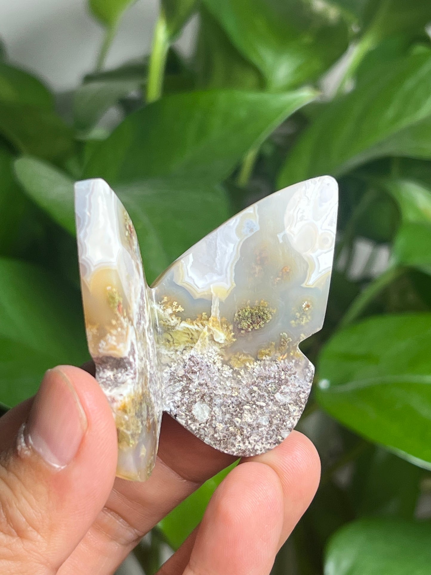 Scenic Moss Agate 3D Butterfly: N