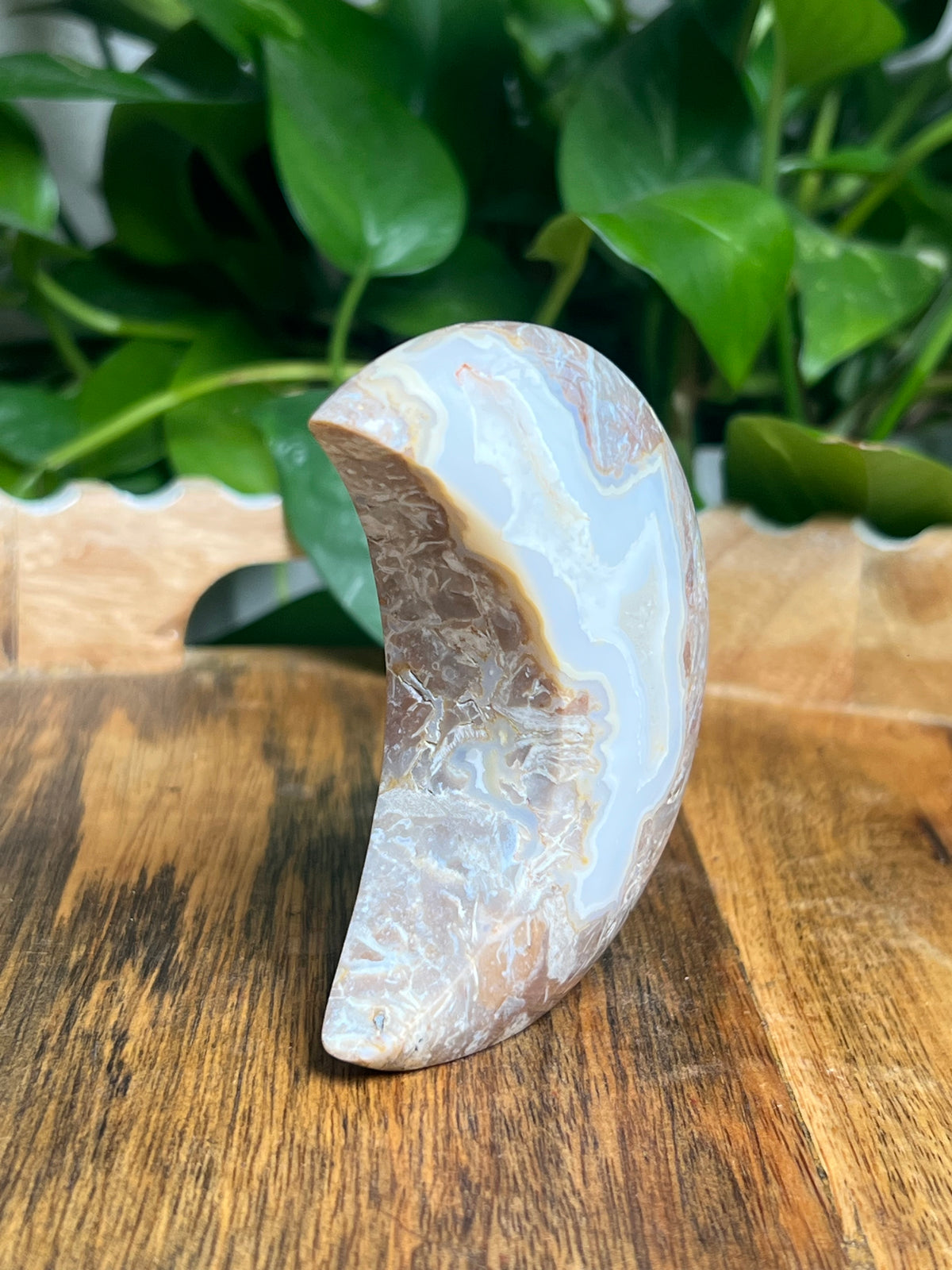 Sumatra Plume Agate Self-Standing Moon: ND