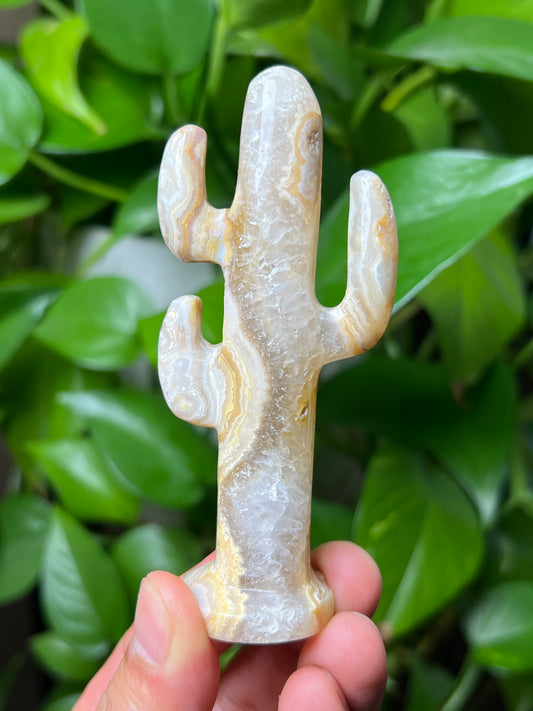 Yellow Crazy Lace Agate Cactus