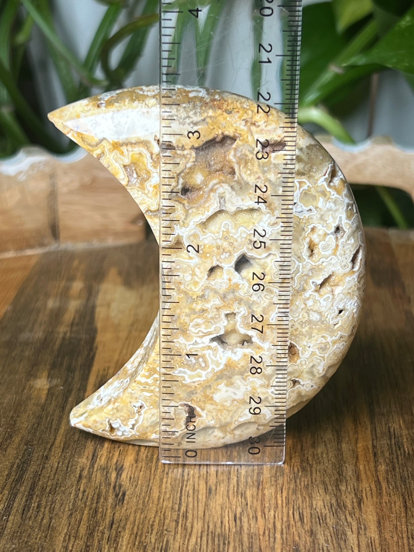Yellow Crazy Lace Agate Moon