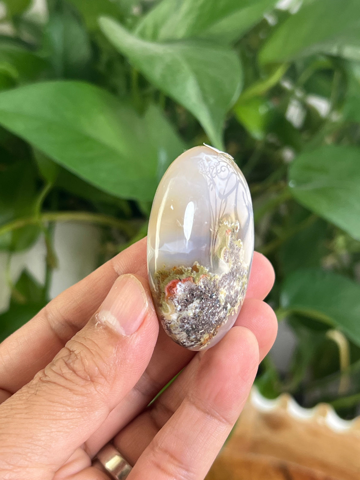 Scenic Moss Agate Palmstone: DC