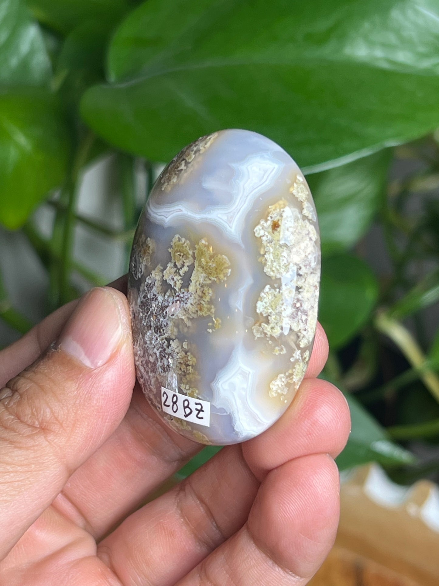 Scenic Moss Agate Palmstone: BZ