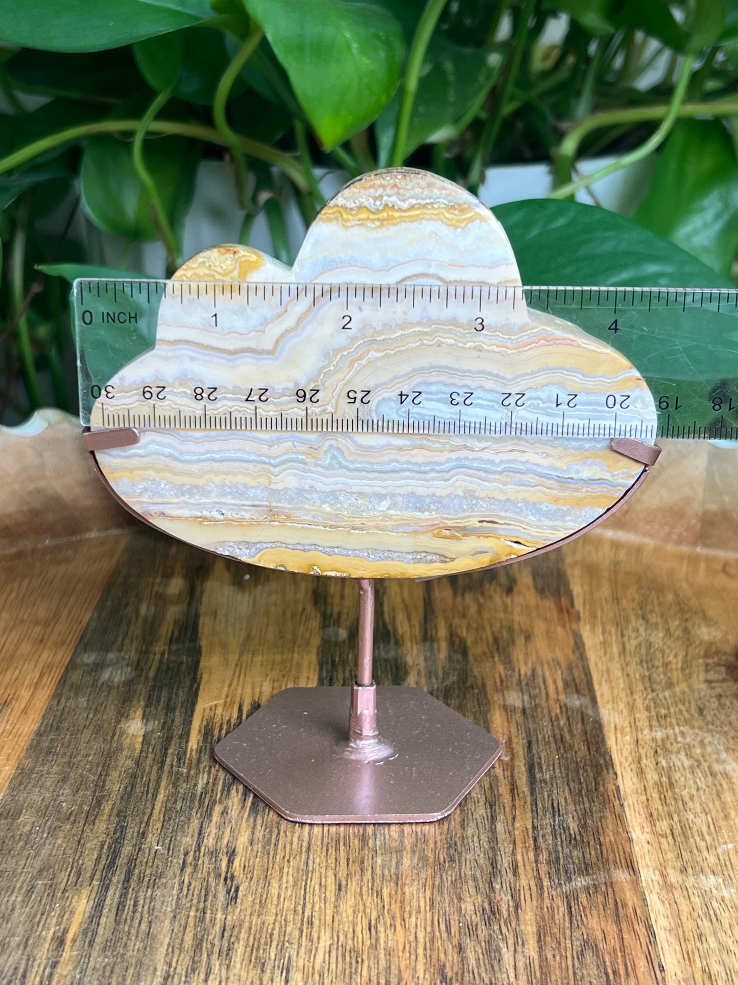 Yellow Crazy Lace Agate Cloud: NB