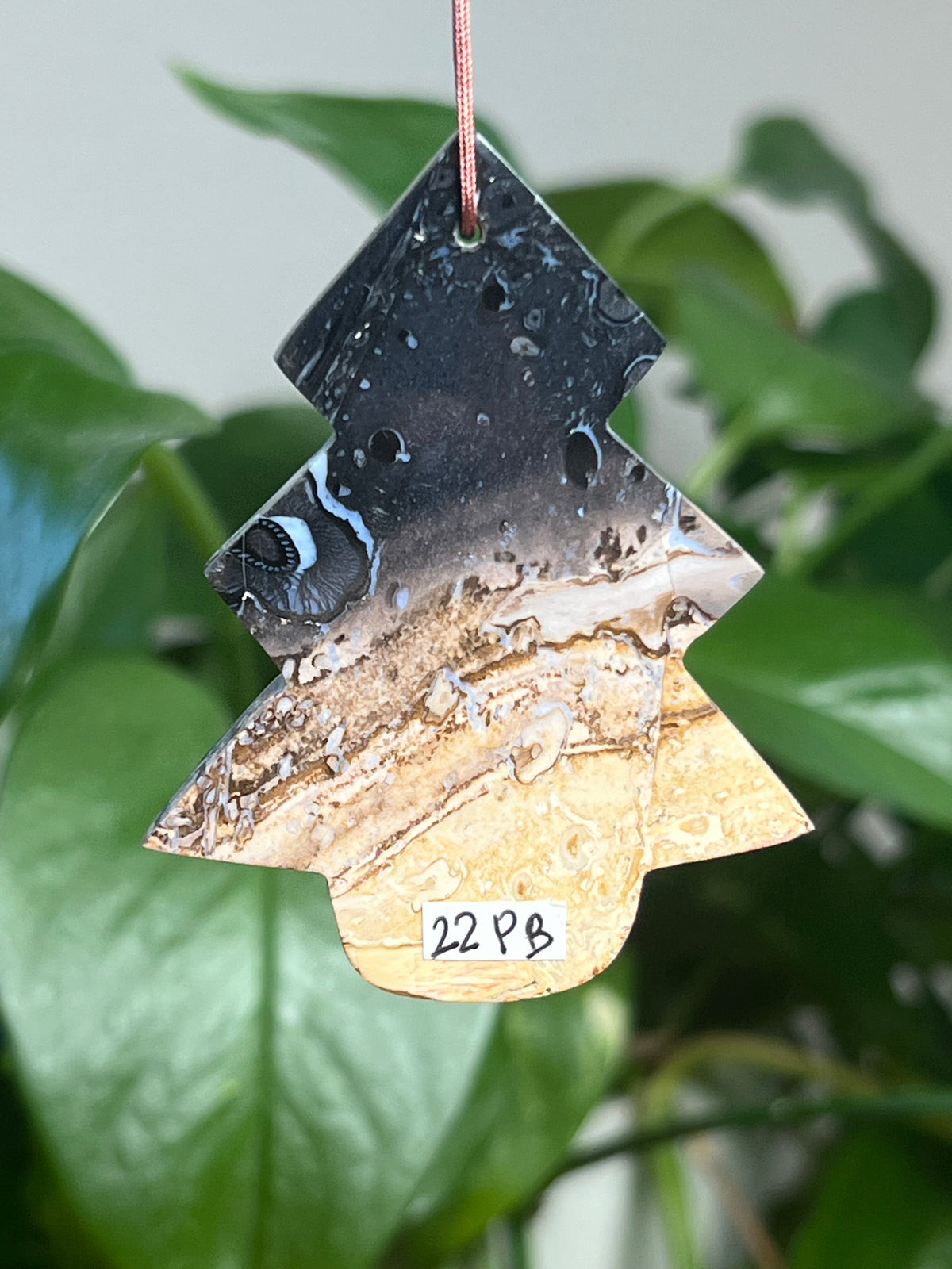Palm Root Tree Ornaments