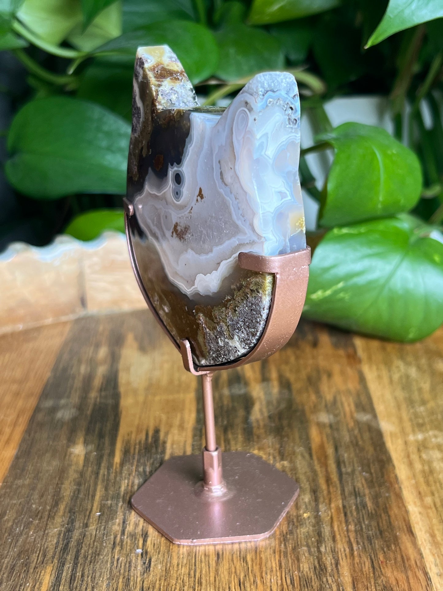 Scenic Moss Agate Cat Head