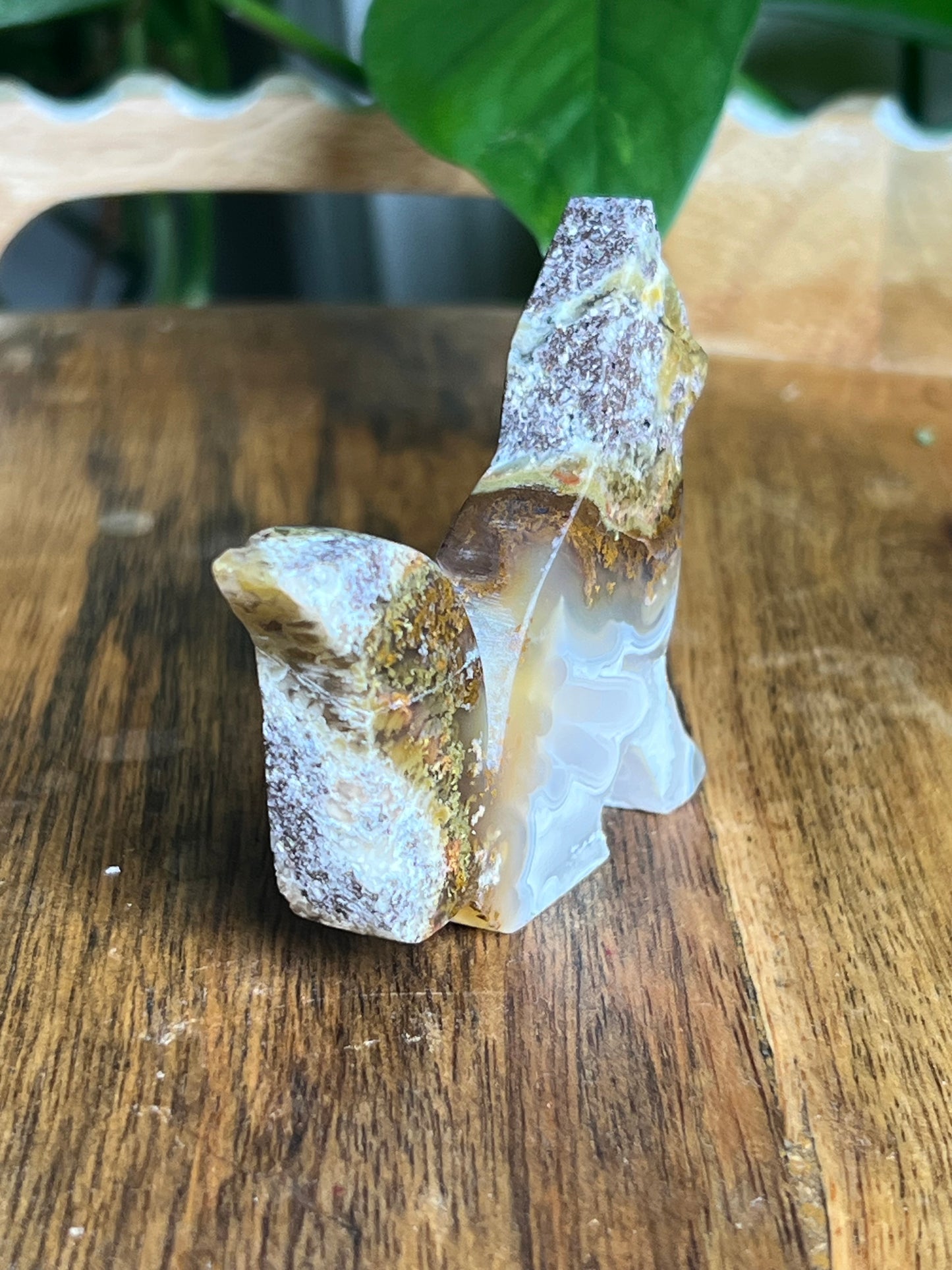 Scenic Moss Agate Fox PX
