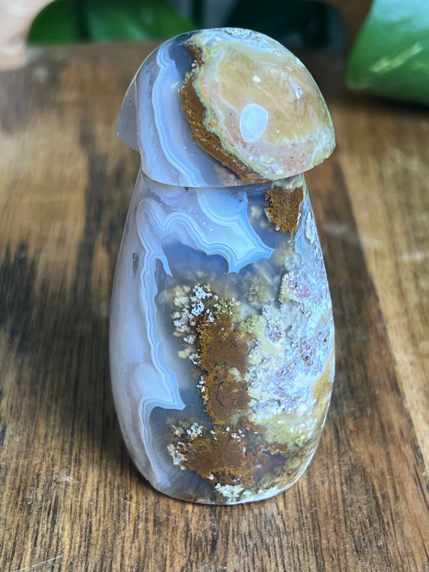 Scenic Moss Agate Mushroom