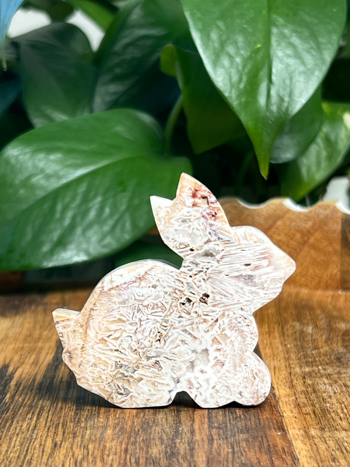 Tube Agate Bunnies