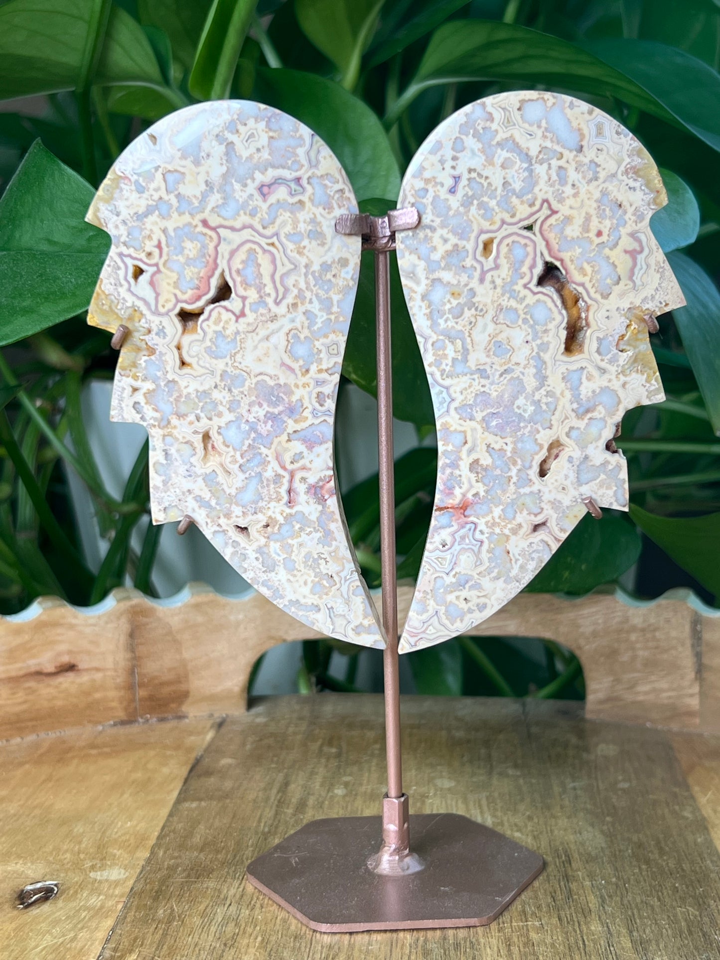 Crazy Lace Agate Wings