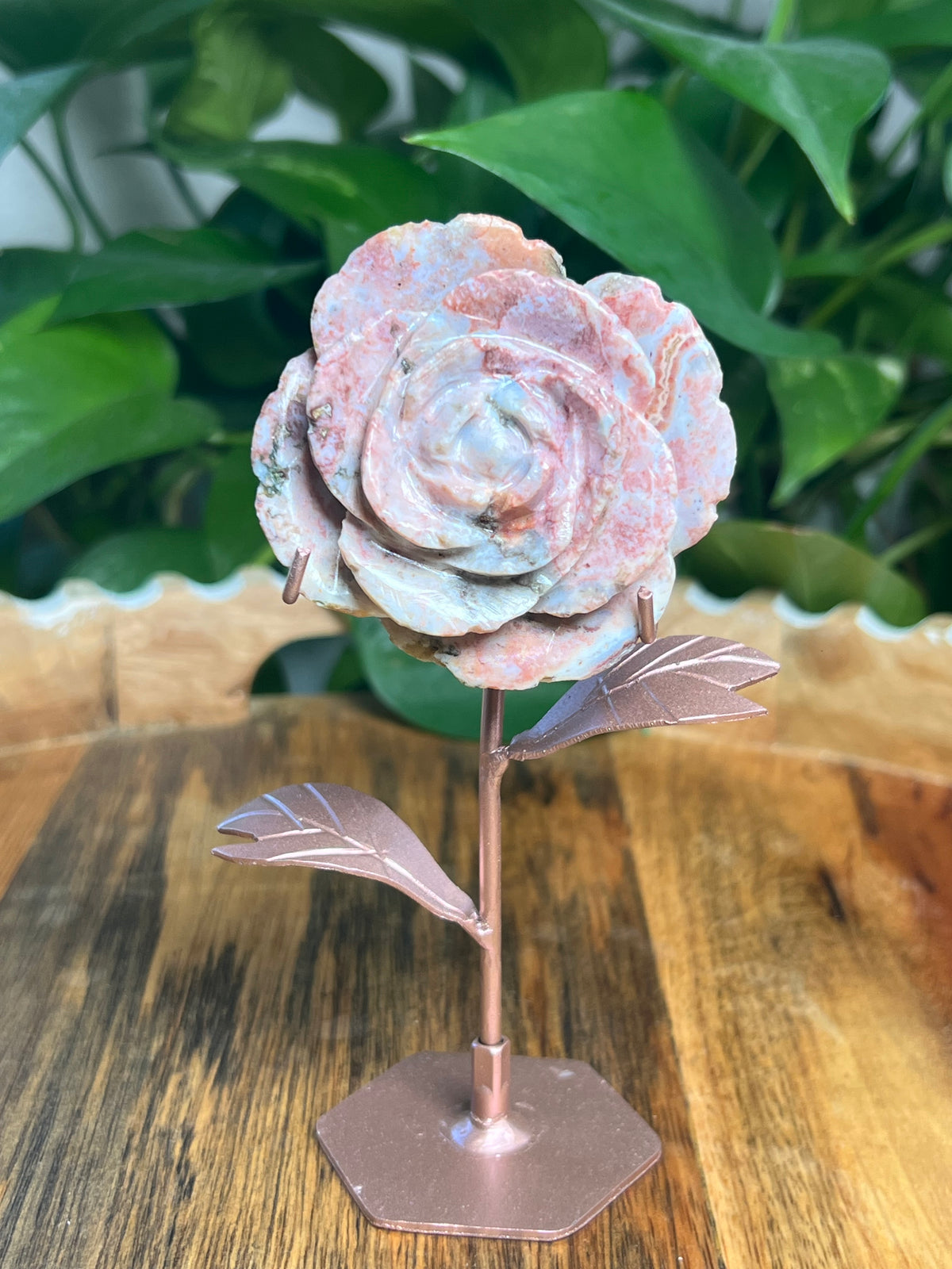 Pink River Jasper Rose: AB