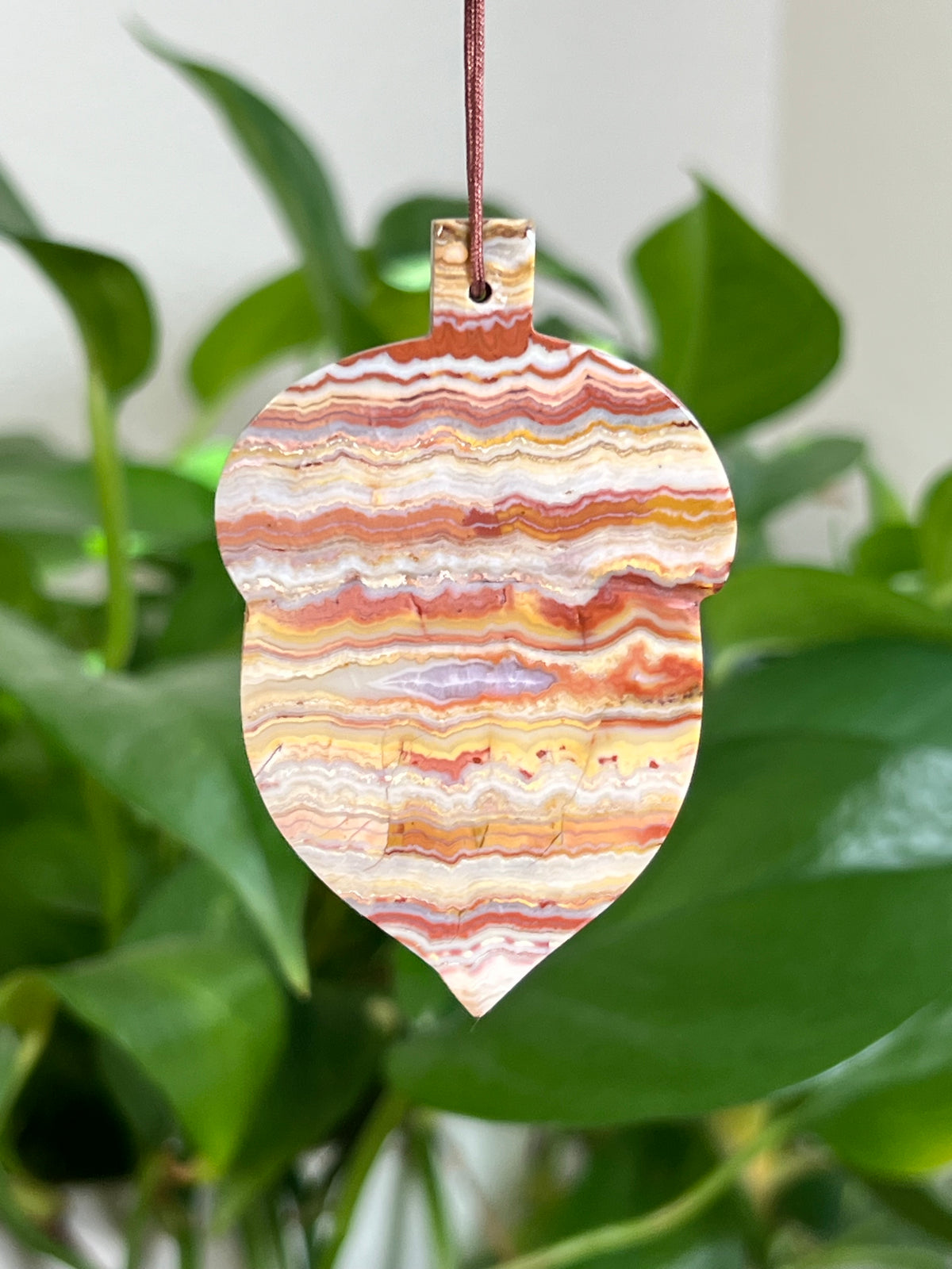 Crazy Lace Agate Acorn Ornaments