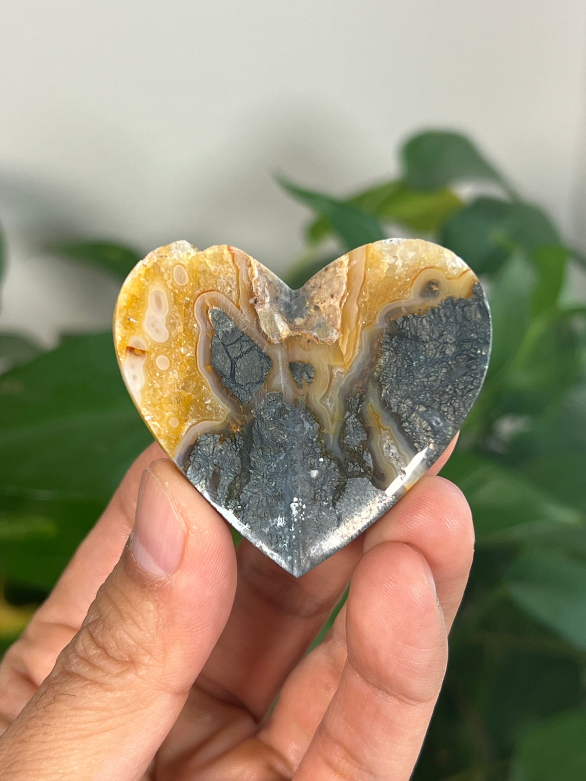 Marcasite 3D Heart Butterflies