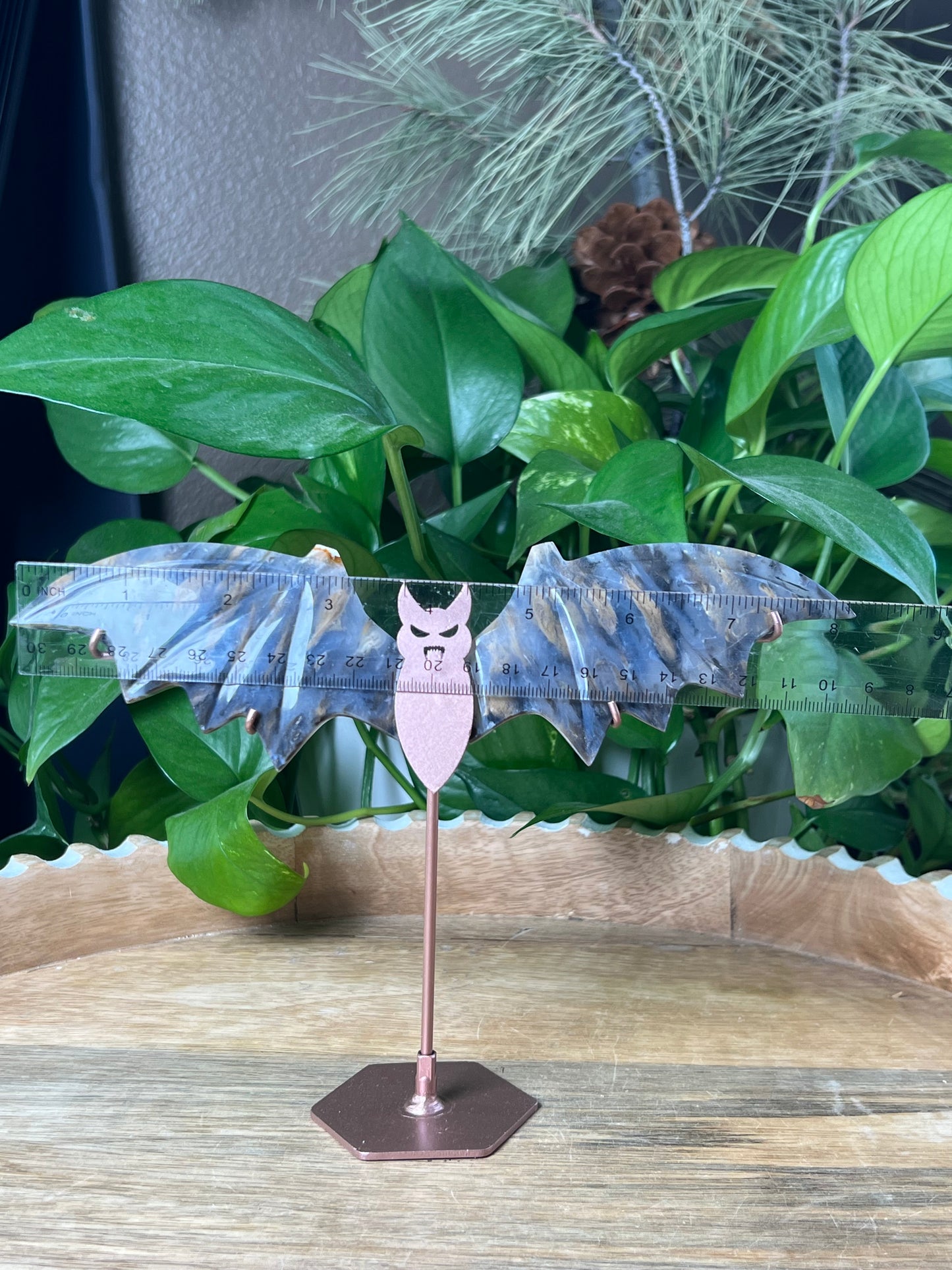 Dendritic Tiger Agate Bat Wings