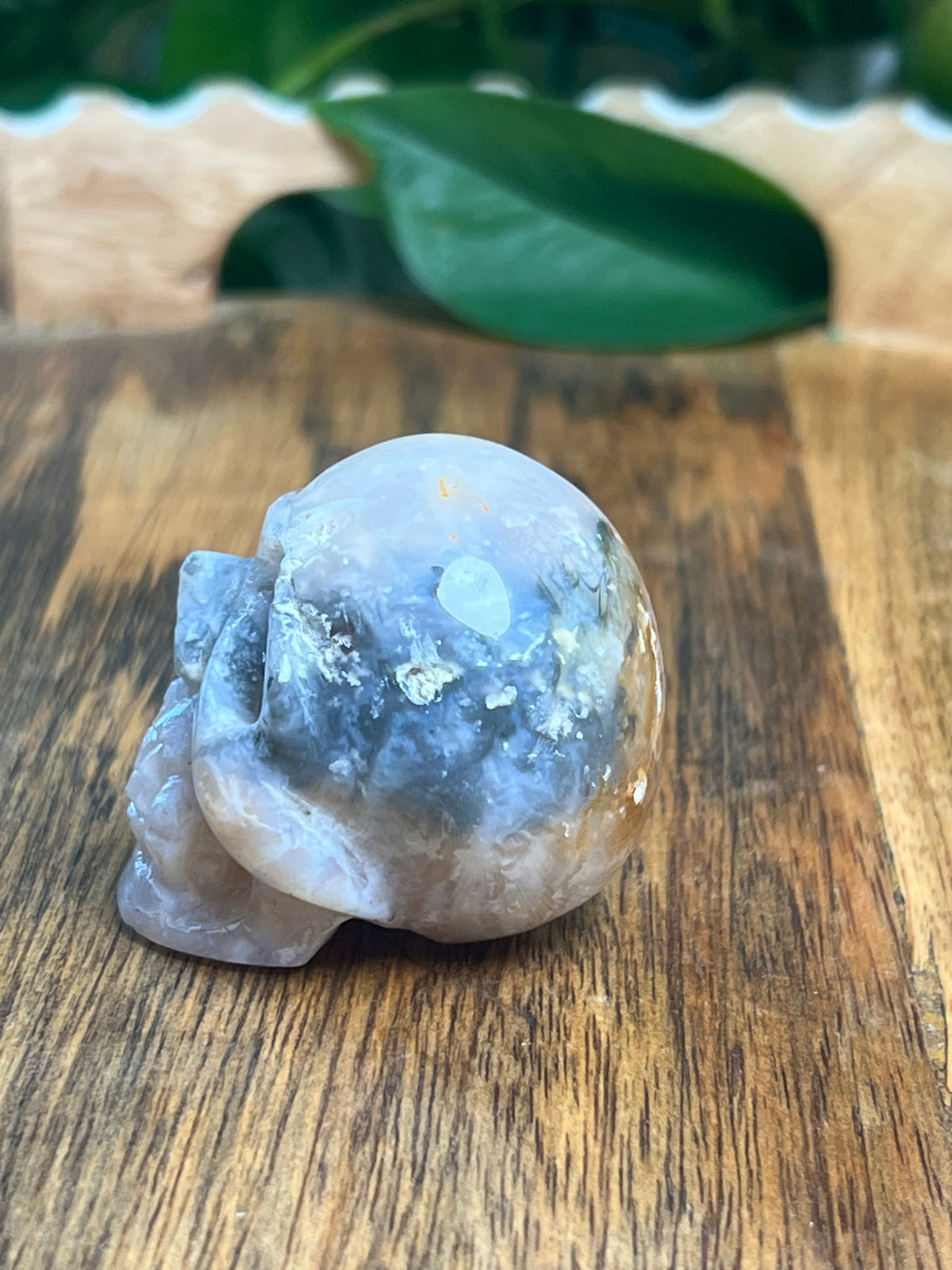 Rainbow Plume Agate Mini Skull: DL