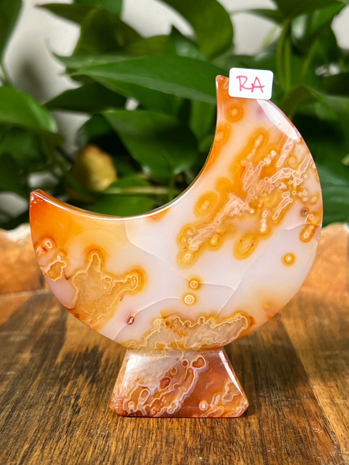 Carnelian Self Standing Moons