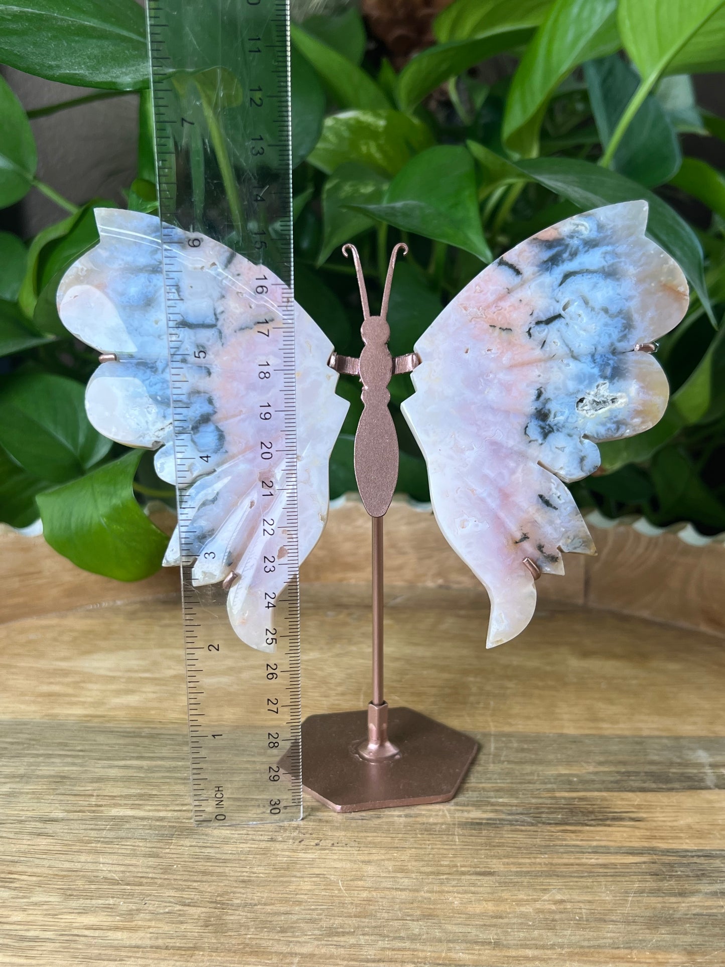 Rainbow Plume Agate Wings