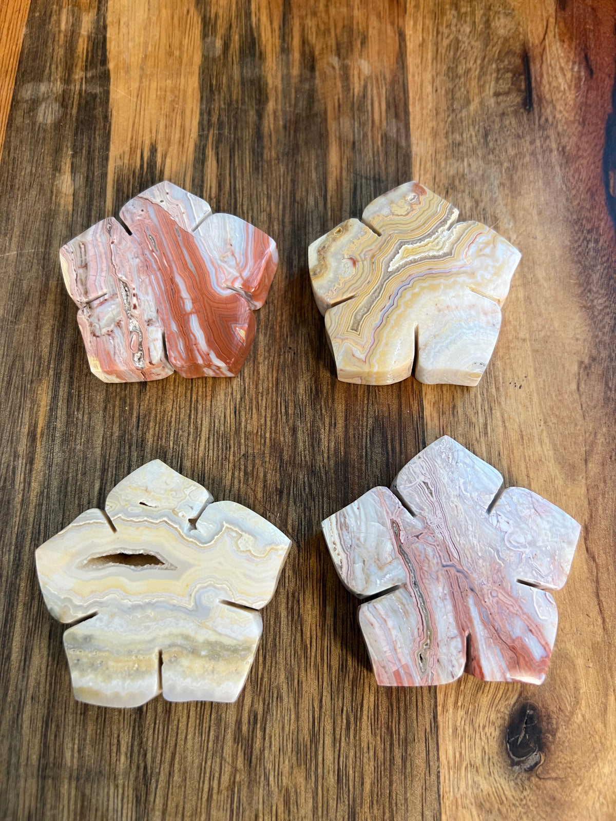 Crazy Lace Agate Flowers