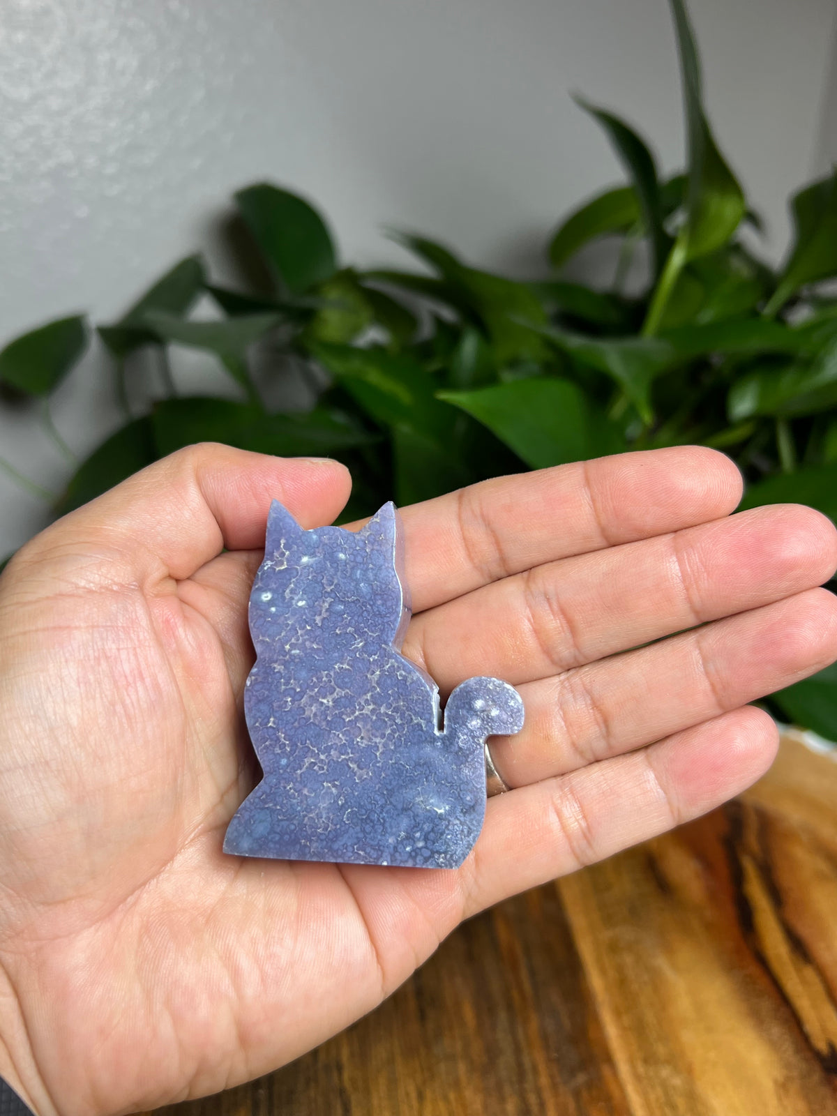 Grape Agate Mini Cat: BS
