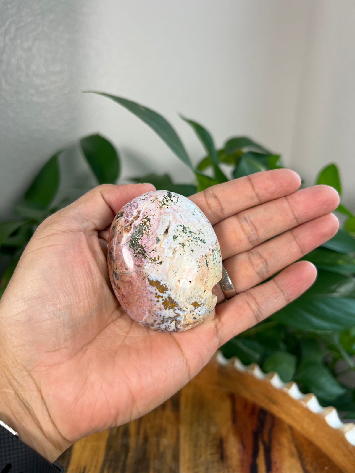 Sea Jasper Palmstones