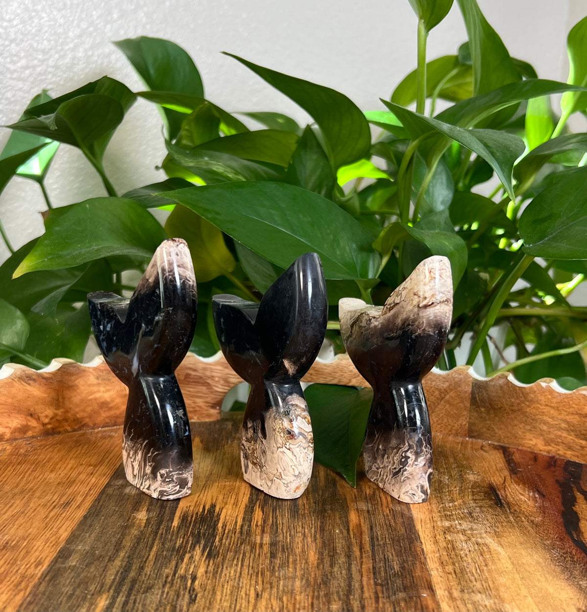 Palm Root Tails