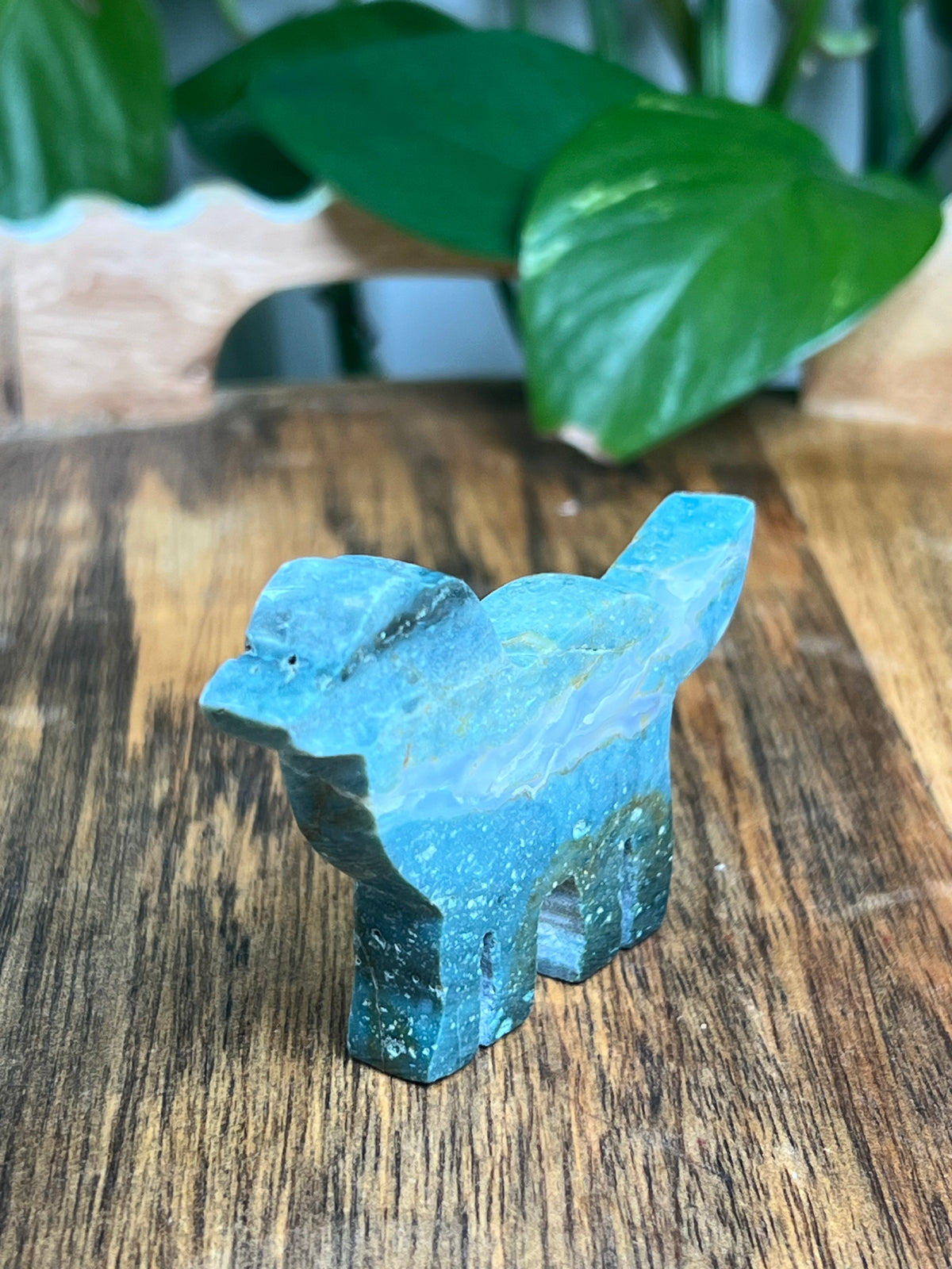 Blue Green Jasper Dog: BA