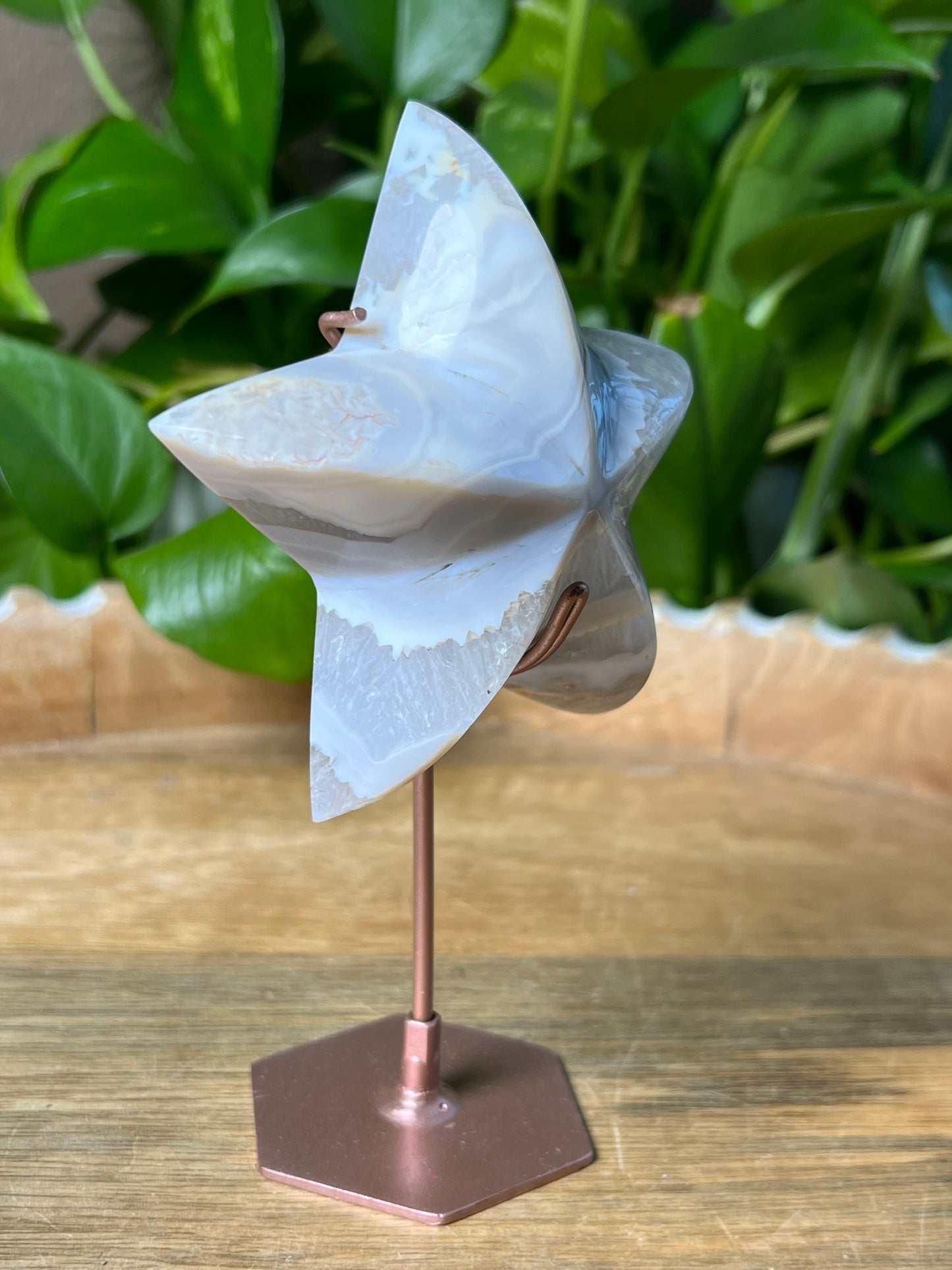 Blue Grey Lace agate Star
