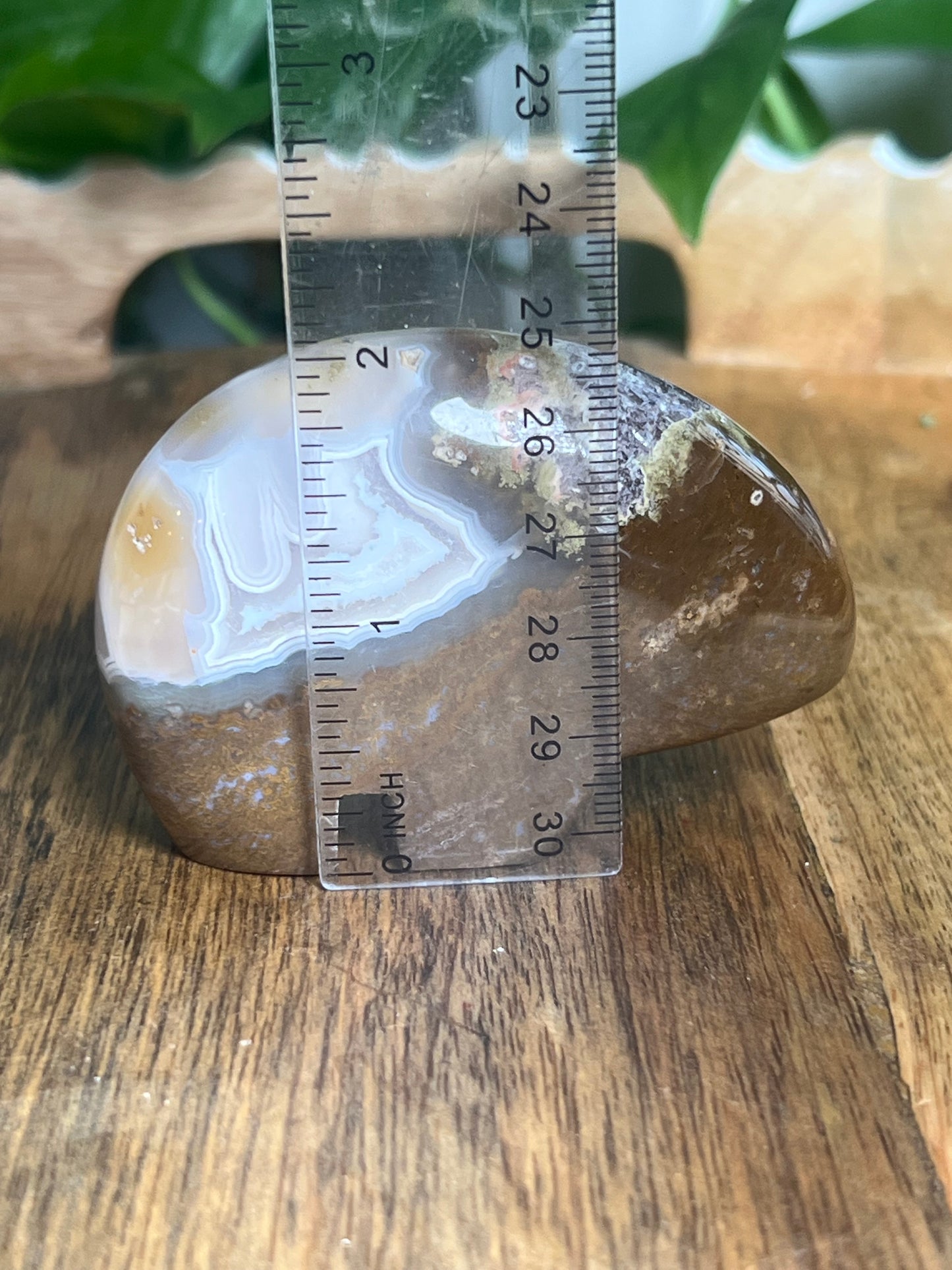 Scenic Moss Agate Bear Bi