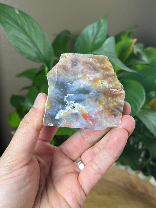 Rainbow Plume Agate Mini Slab