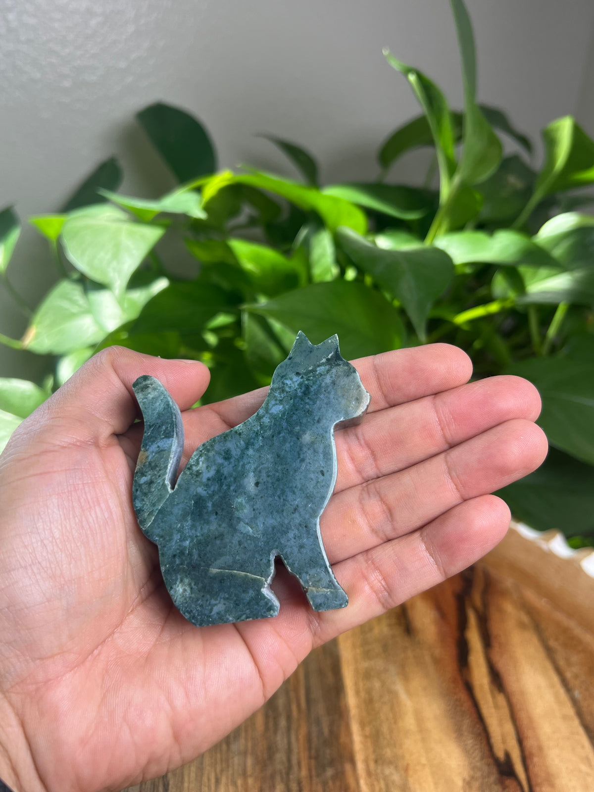 Blue Green Jasper Cat: CK