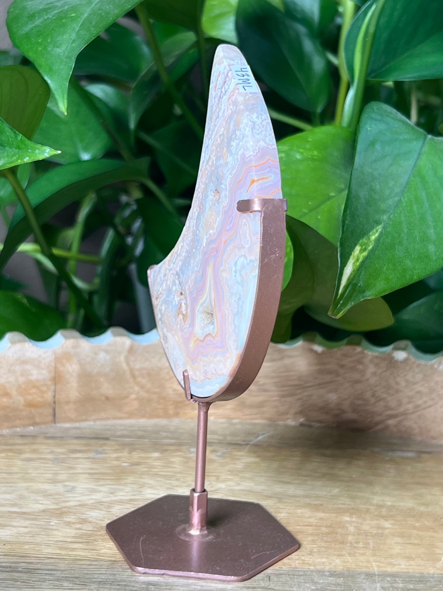 Crazy Lace Agate Moon