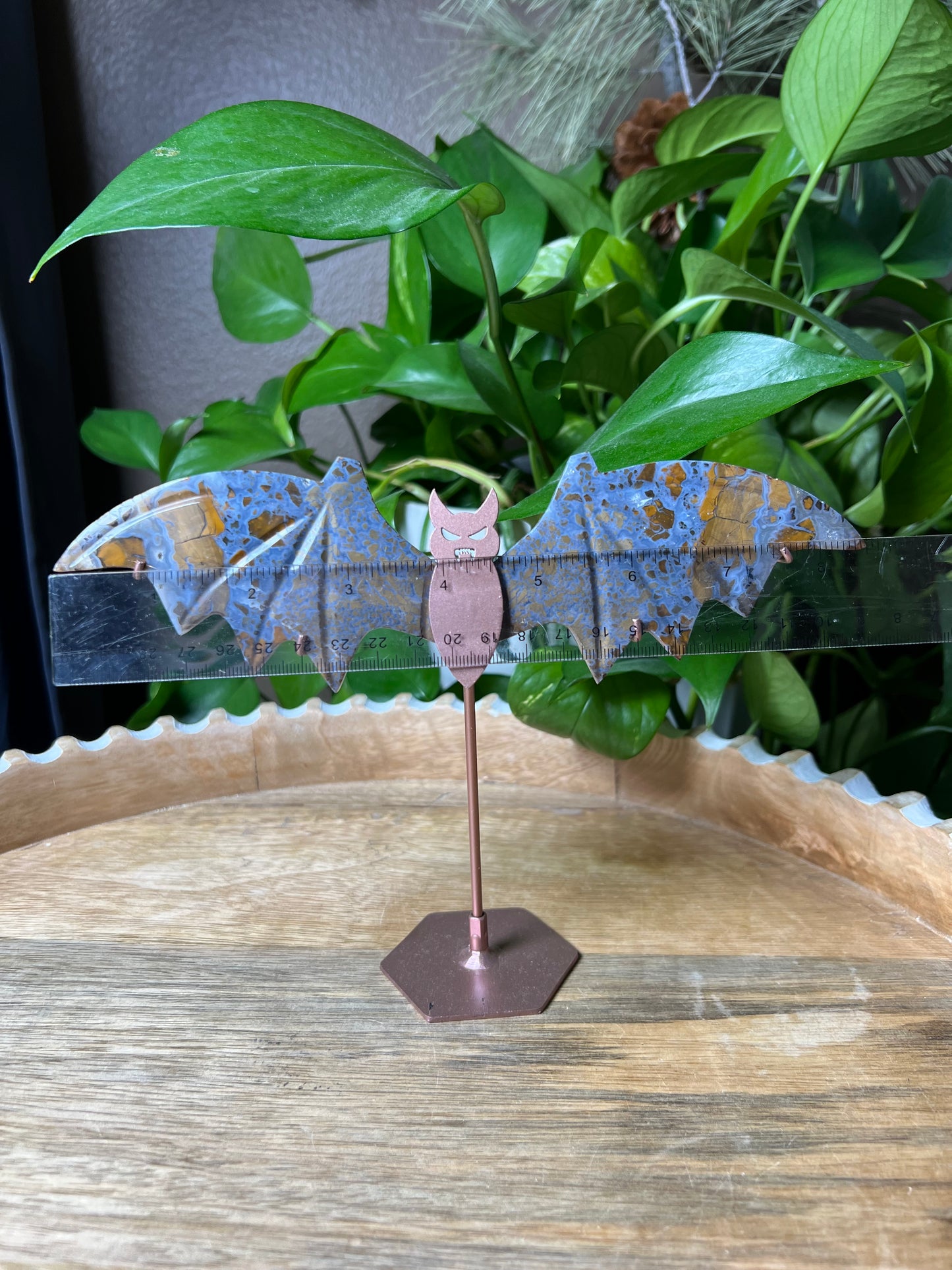 Brecciated Jasper Bat Wings