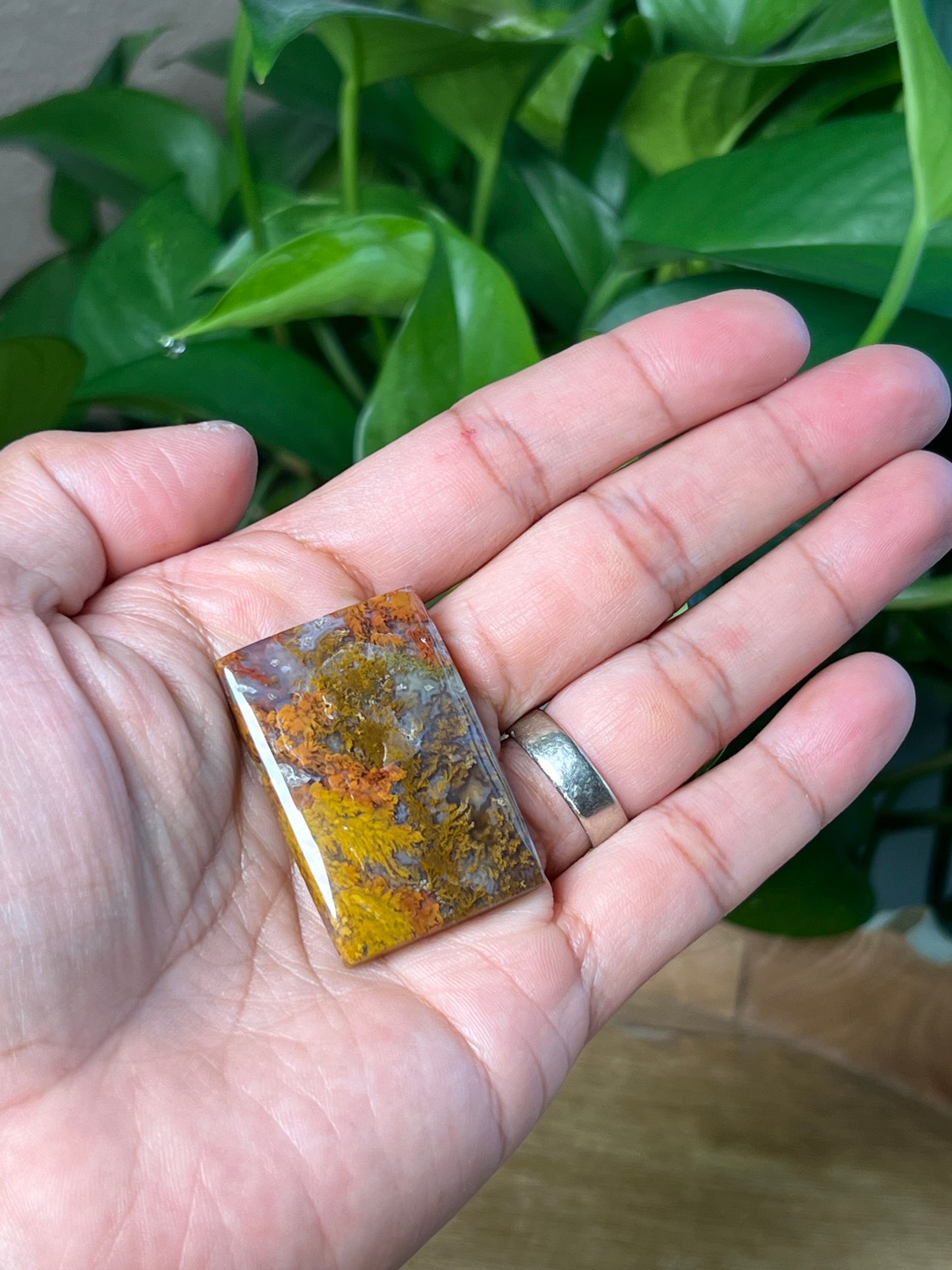 Scenic Moss Agate Cabochon