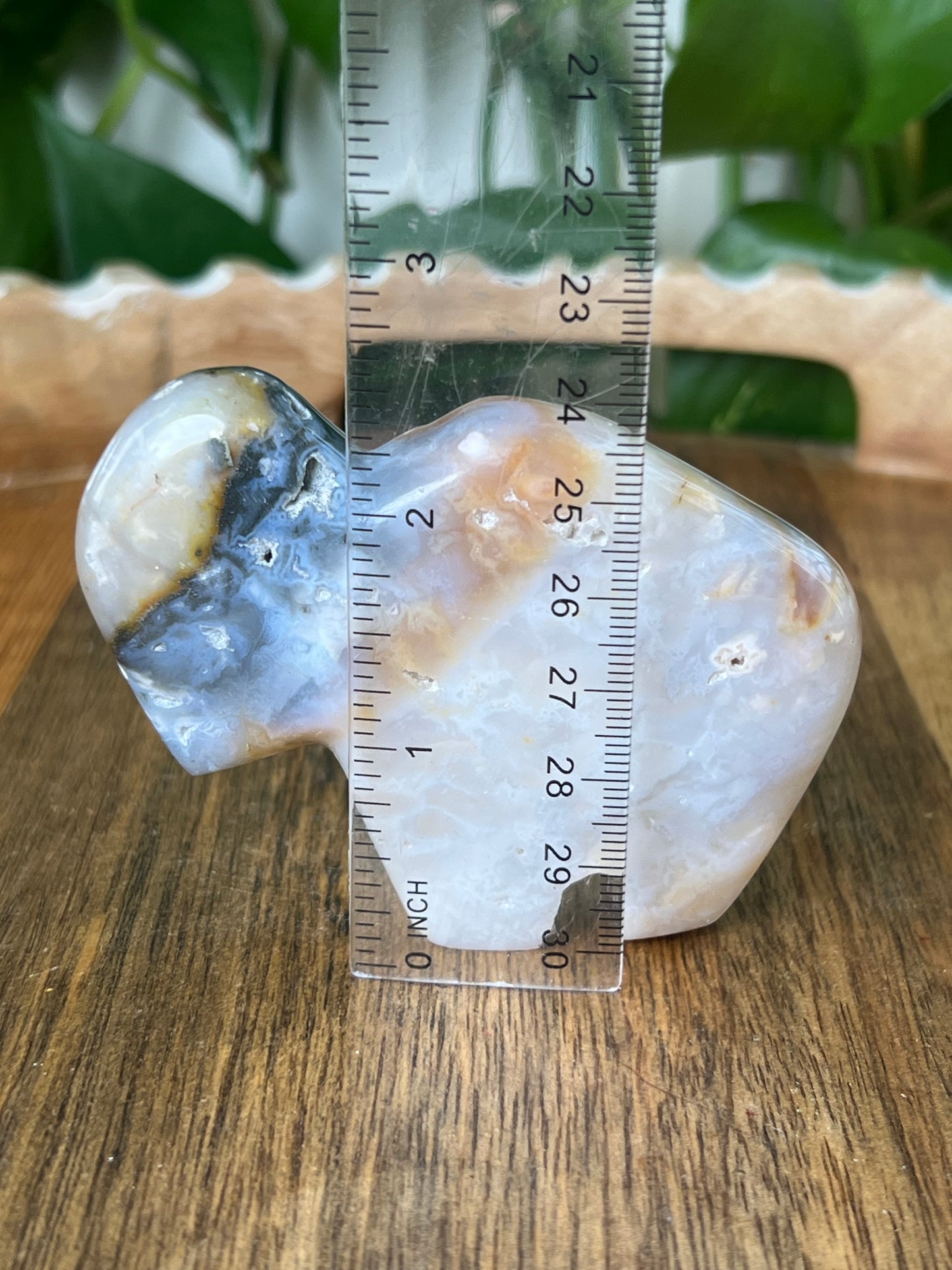 Rainbow Plume Agate Buffalo