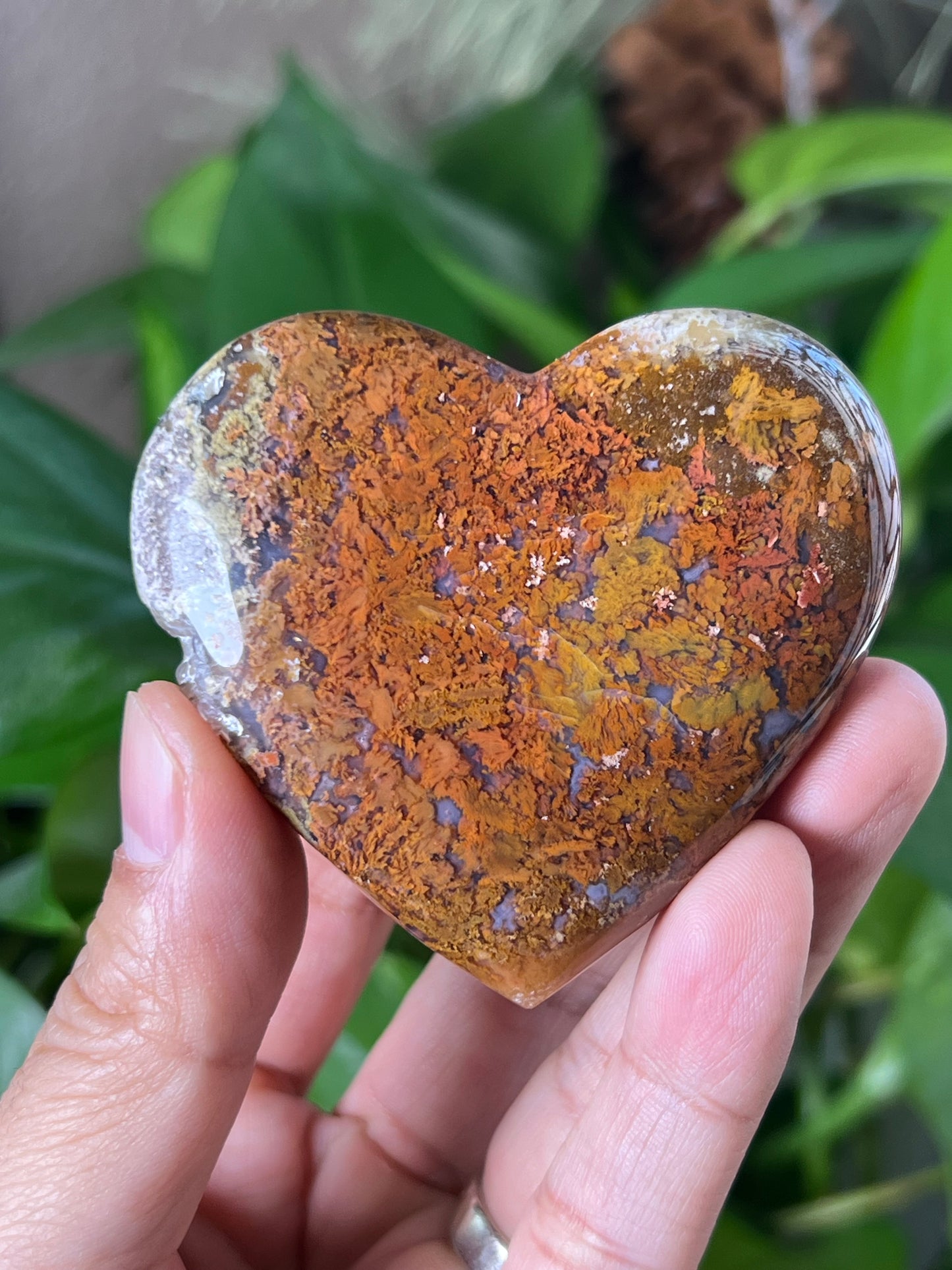 Scenic Moss Agate Heart