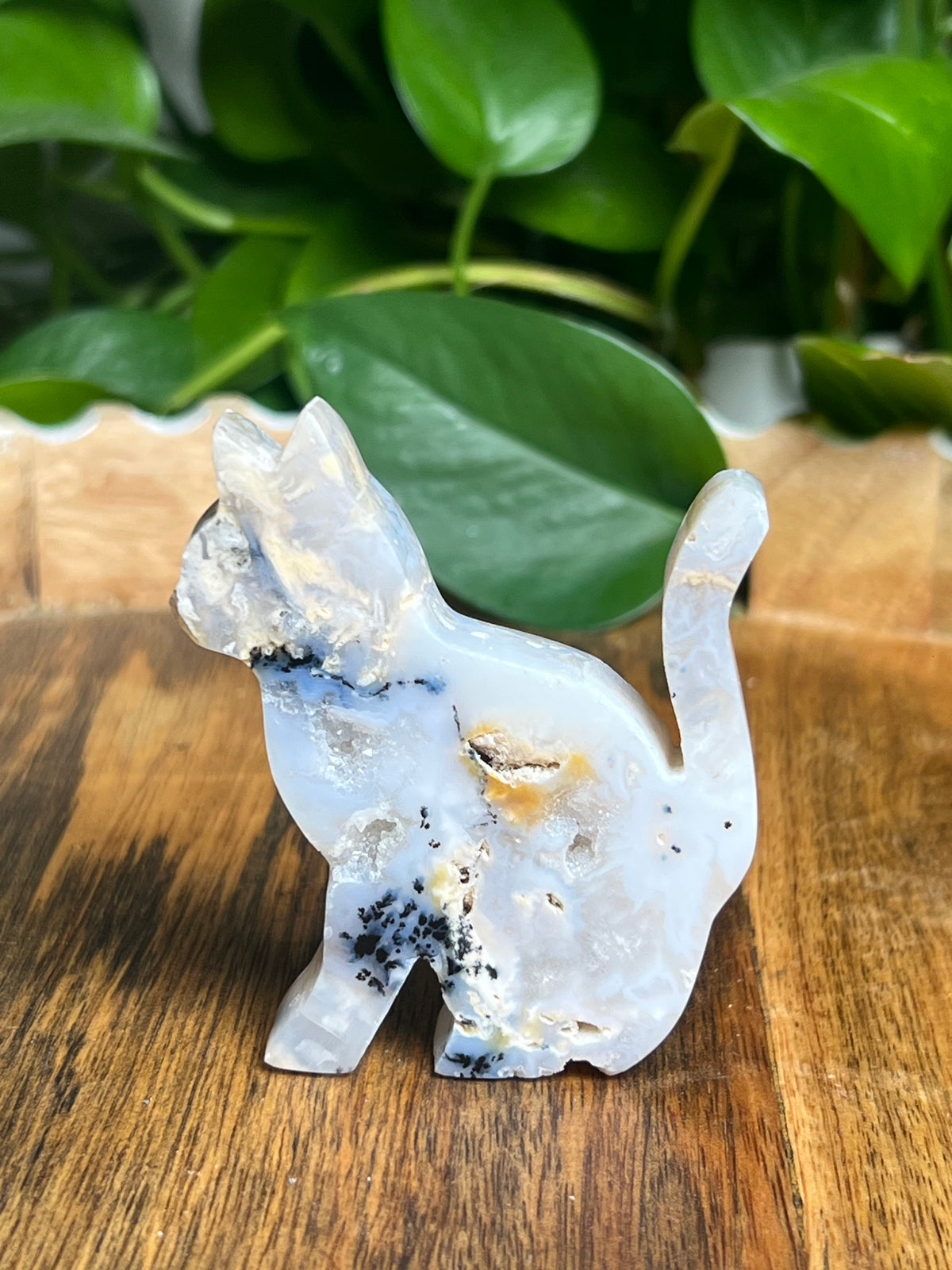 Dendritic Tiger Agate Cat: PC