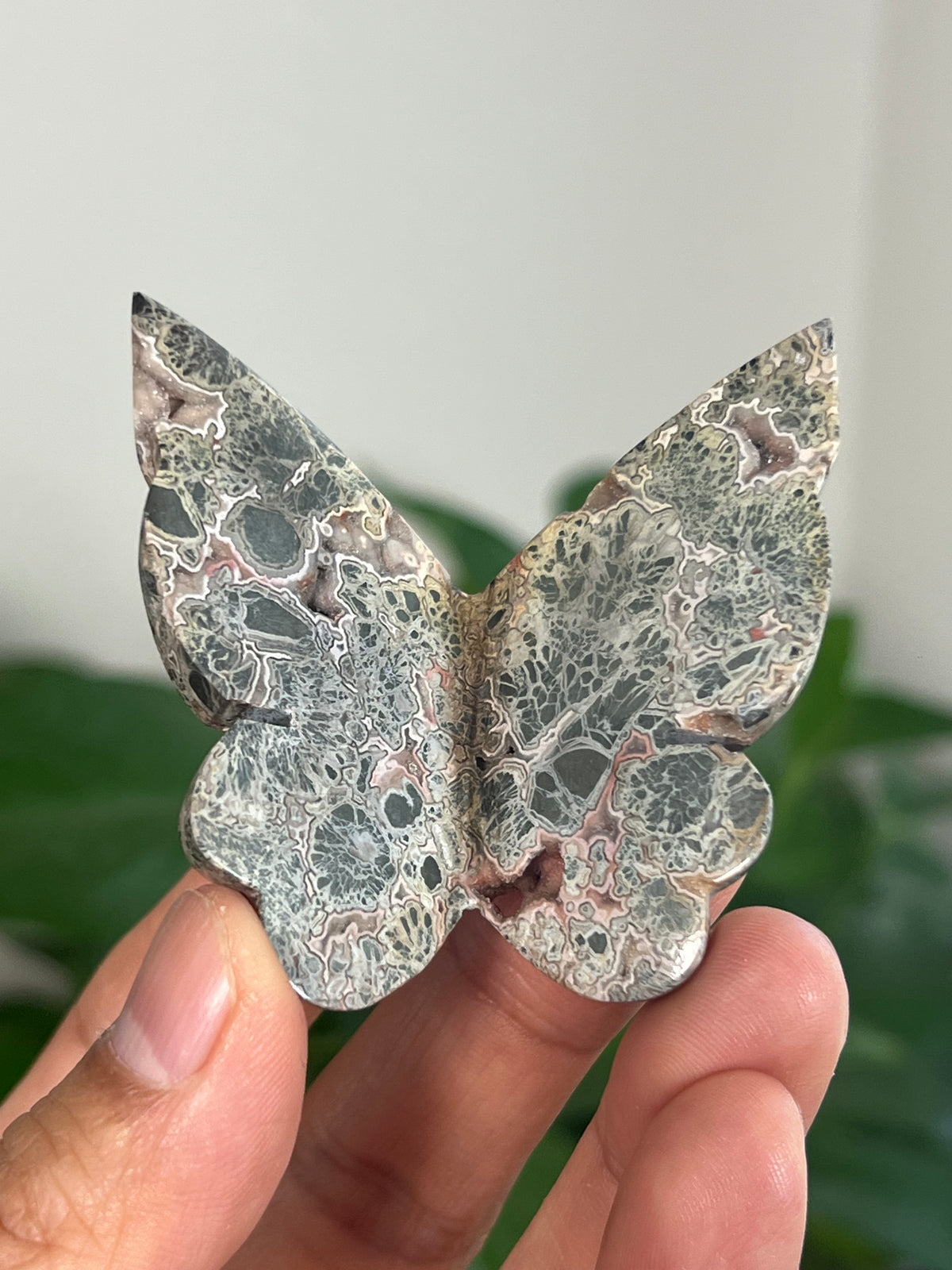 Marcasite 3D Butterflies