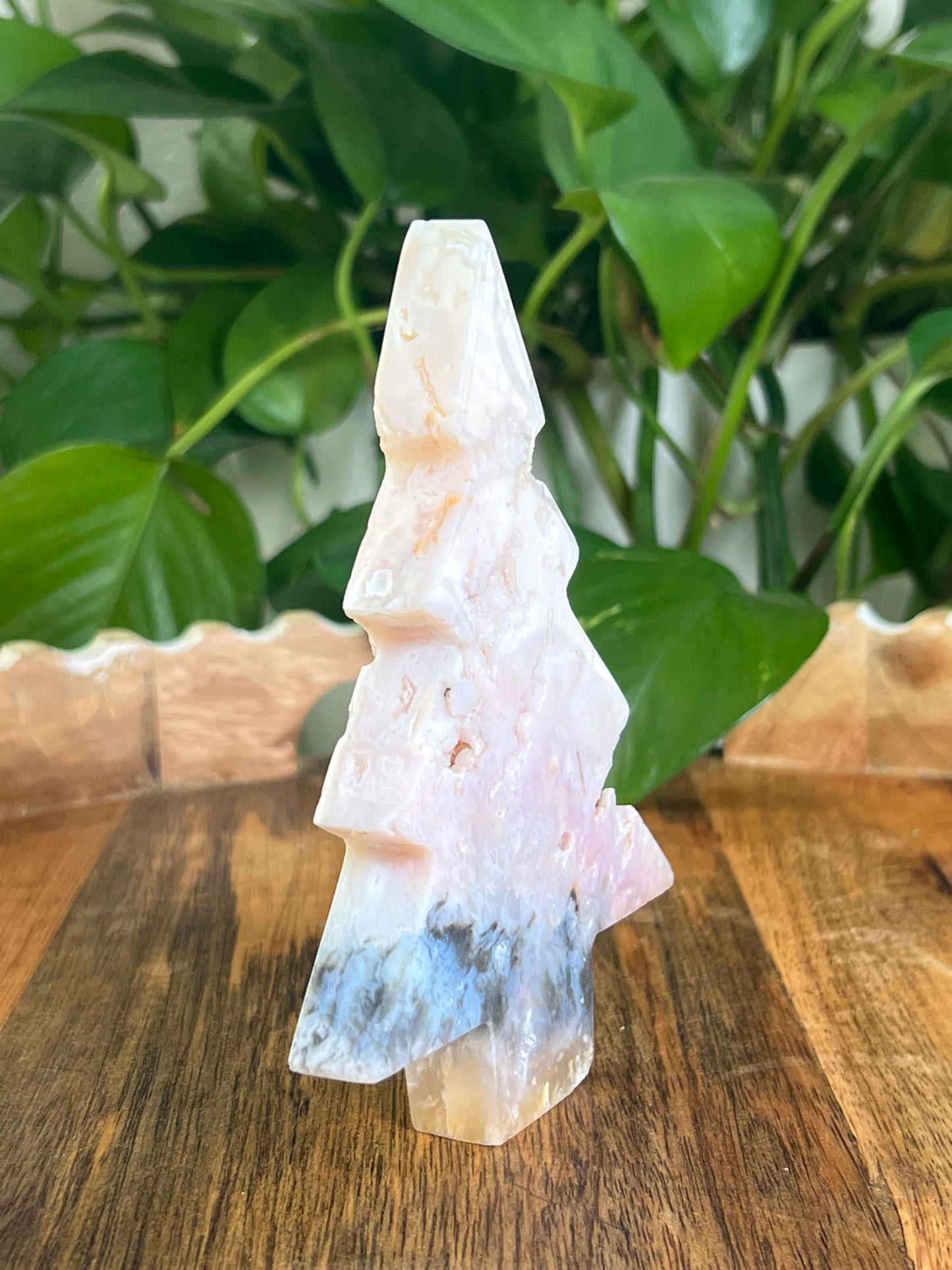Rainbow Plume Agate Tree: DB