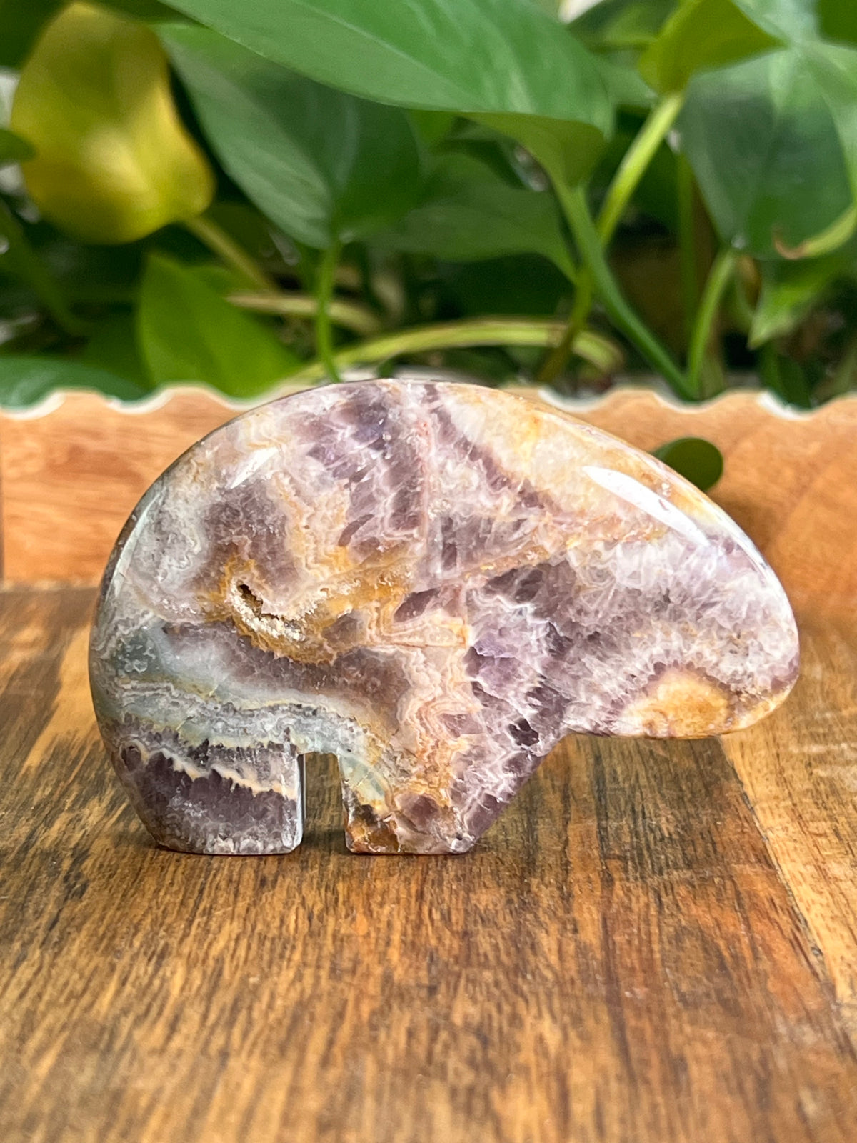 Indonesian Amethyst Bear: SQ