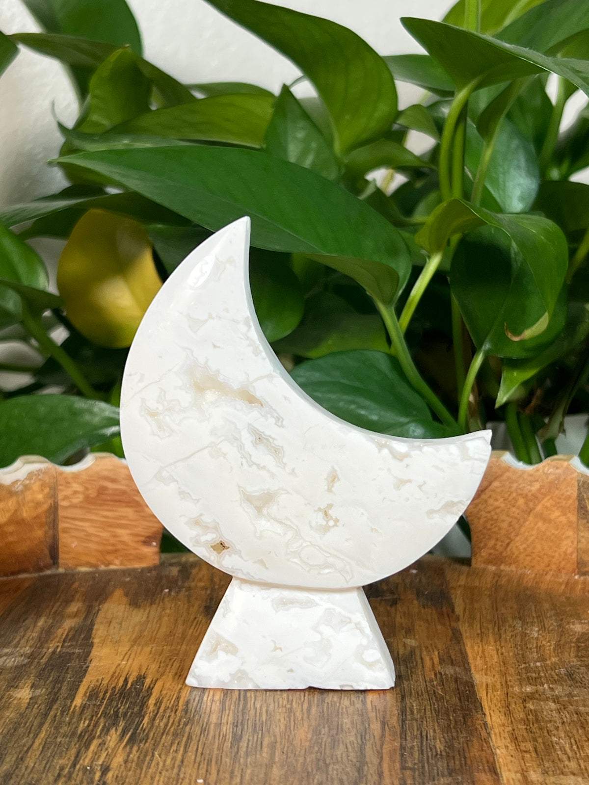 White Plume Agate Self Standing Moons