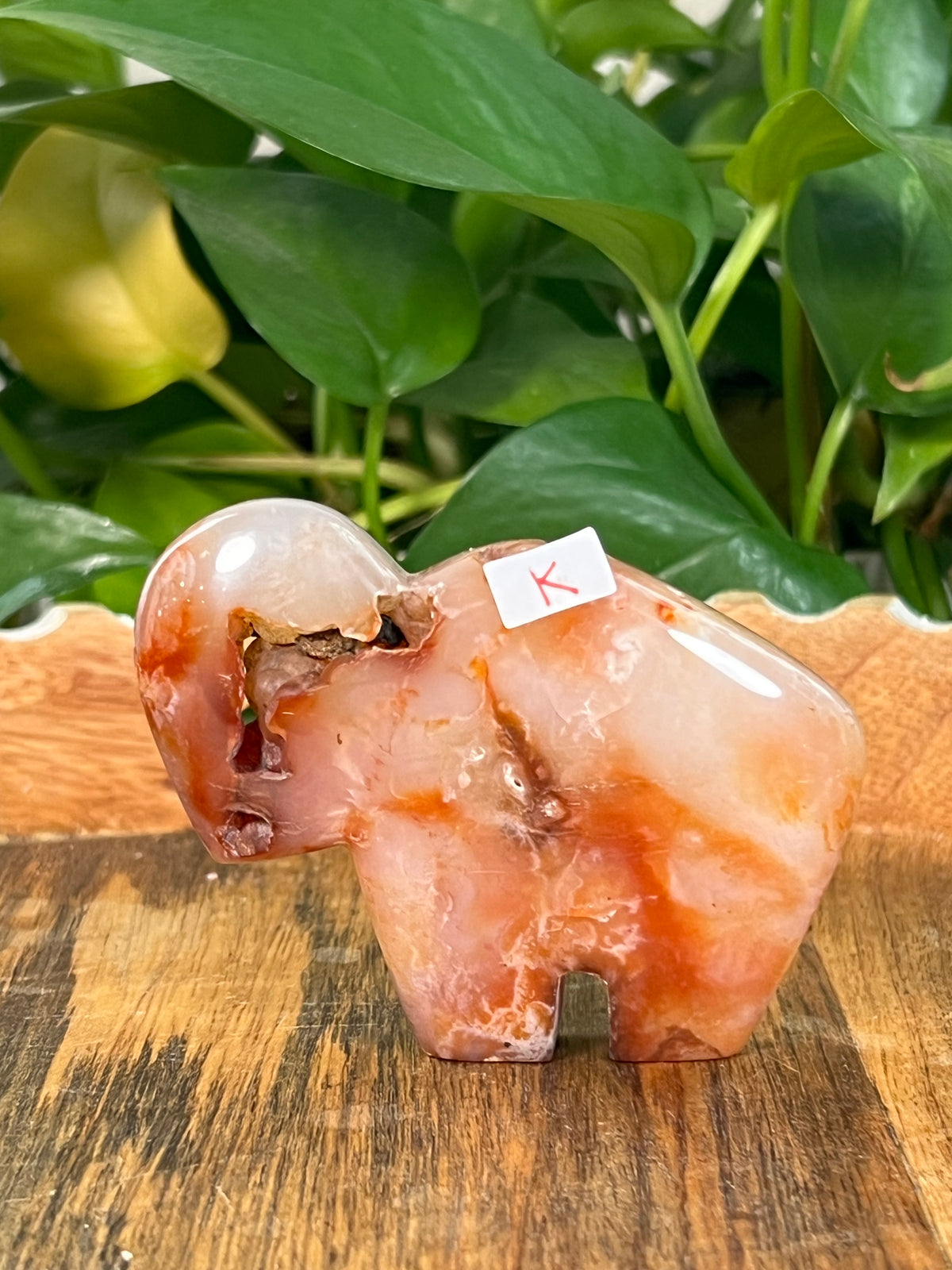 Red Carnelian Buffalos