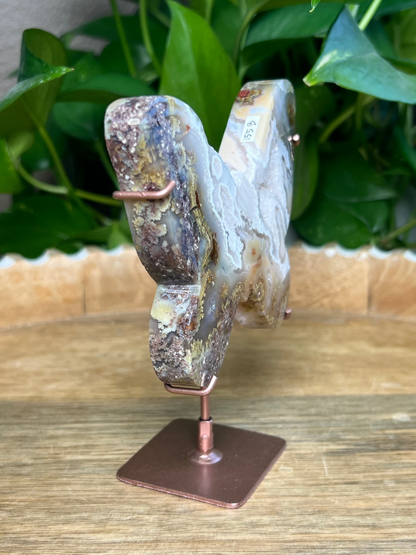 Scenic Moss Agate Butterfly