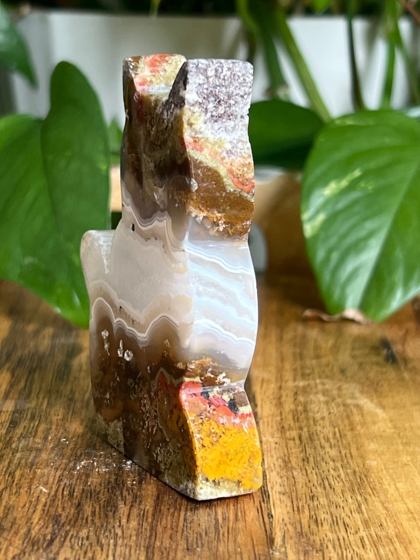 Scenic Moss Agate Cat HA