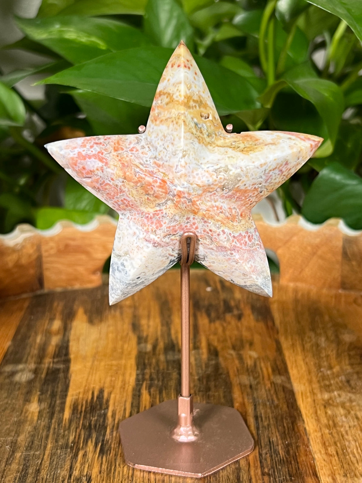 Sea Jasper Stars